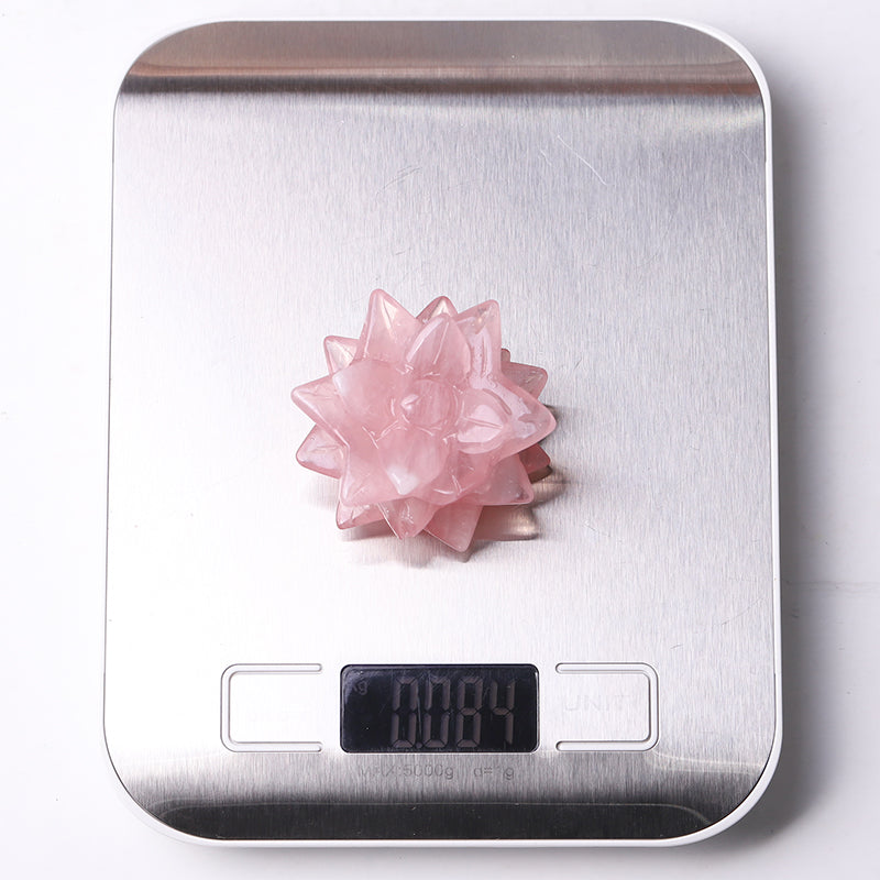 2-inch Rose Quartz Succulent Crystal Figurine Carving