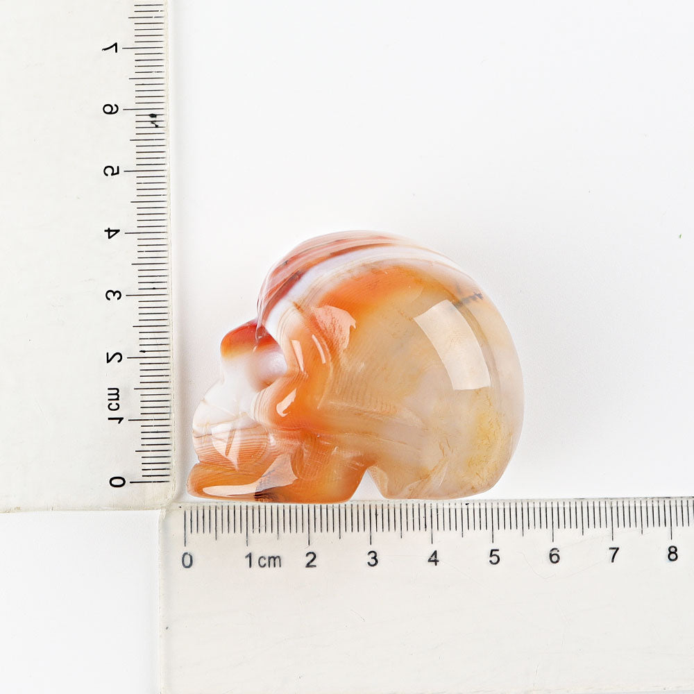 2 inch Sardonyx Crystal Skull Carving for Healing