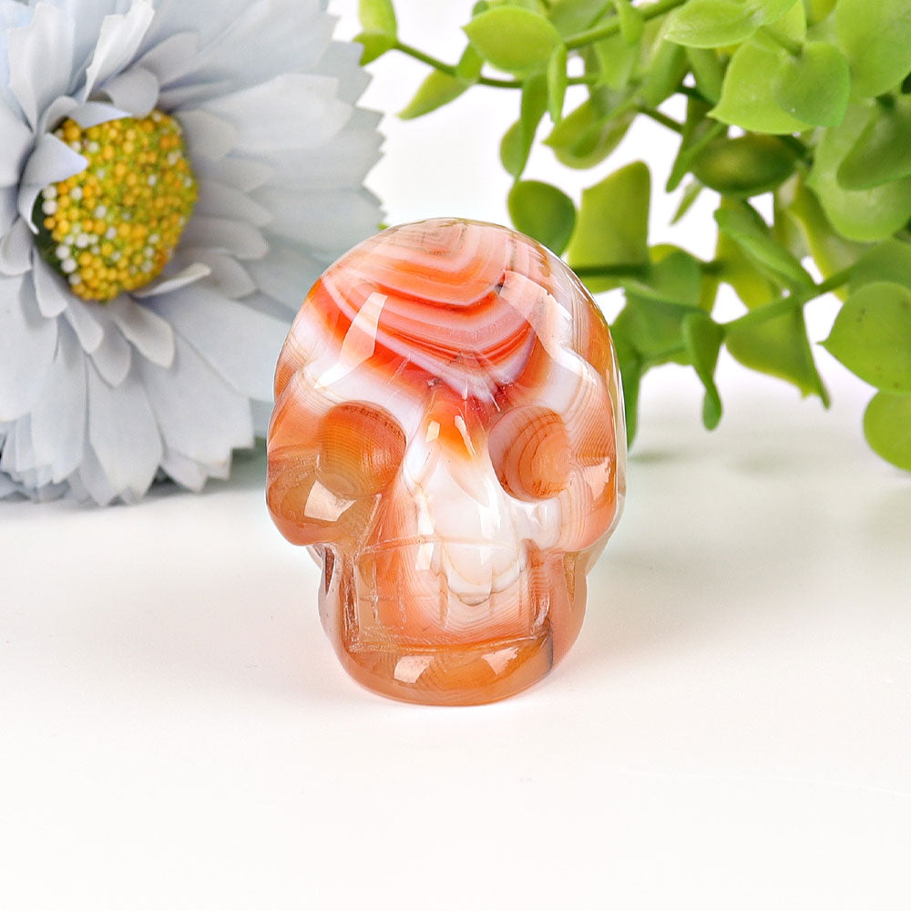 2 inch Sardonyx Crystal Skull Carving for Healing