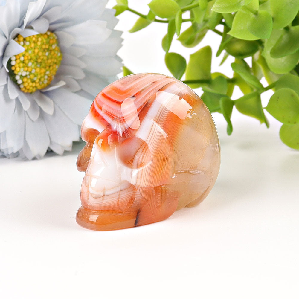 2 inch Sardonyx Crystal Skull Carving for Healing