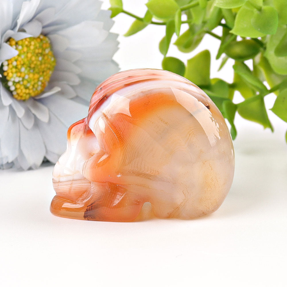 2 inch Sardonyx Crystal Skull Carving for Healing