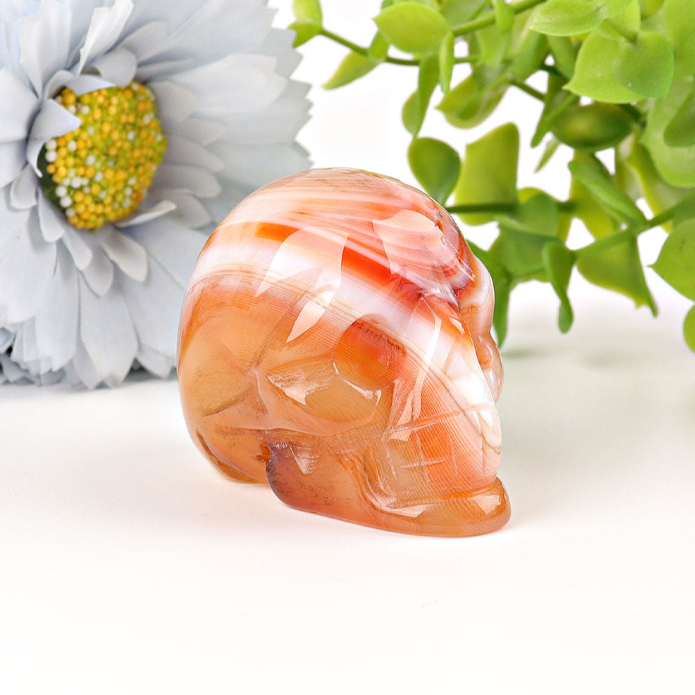 2 inch Sardonyx Crystal Skull Carving for Healing