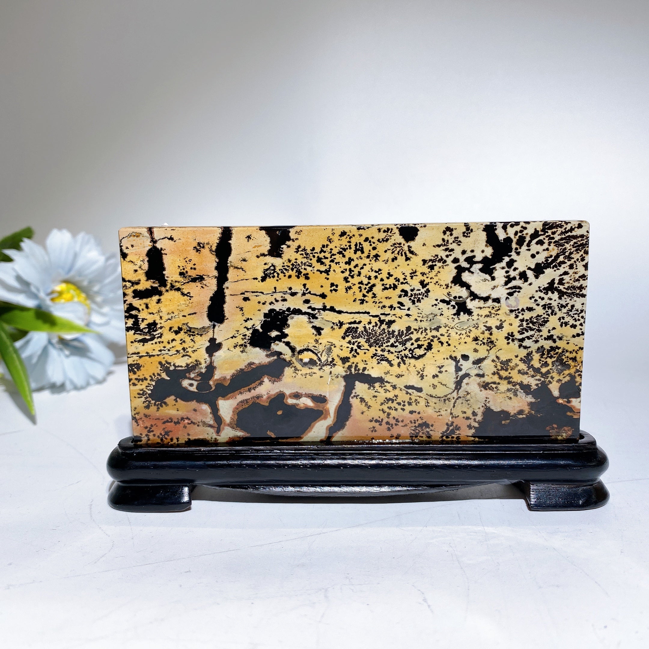 22cm Picture Jasper Crystal Slab with Stand for Healing