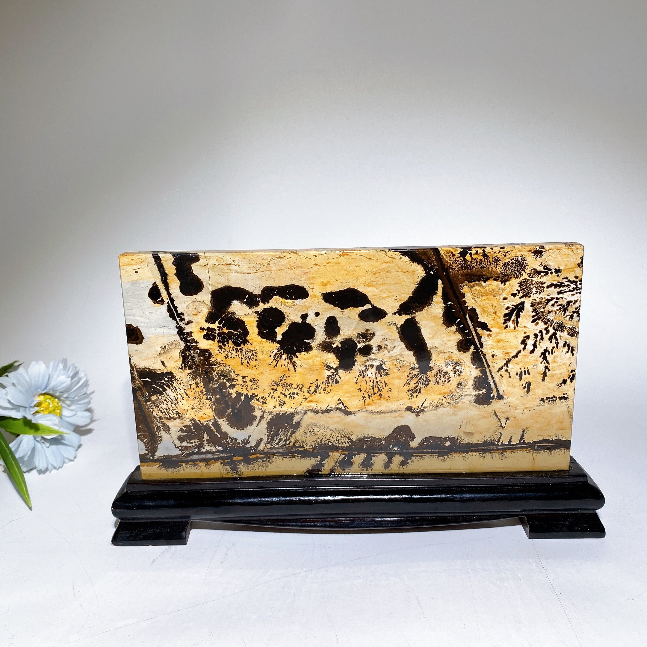 22cm Picture Jasper Crystal Slab with Stand for Healing