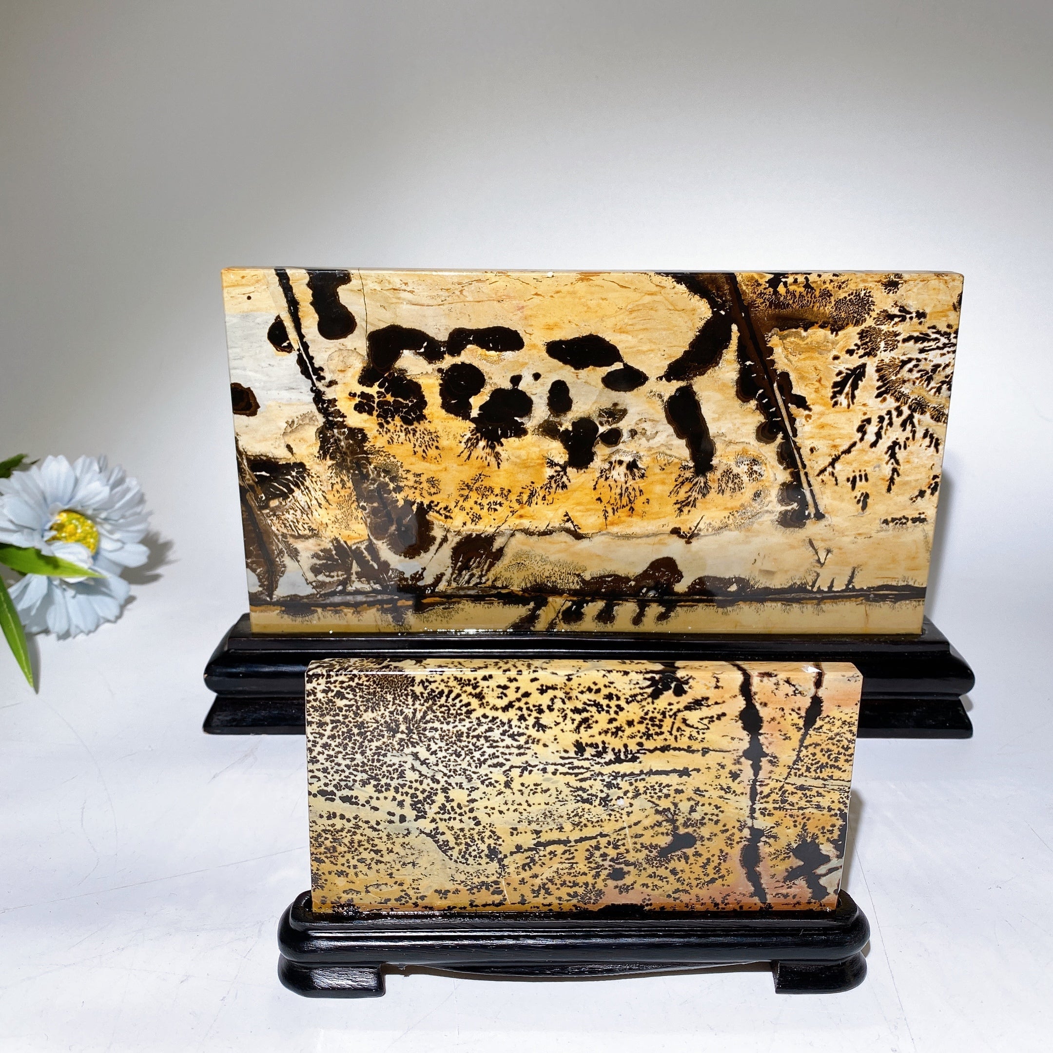 22cm Picture Jasper Crystal Slab with Stand for Healing