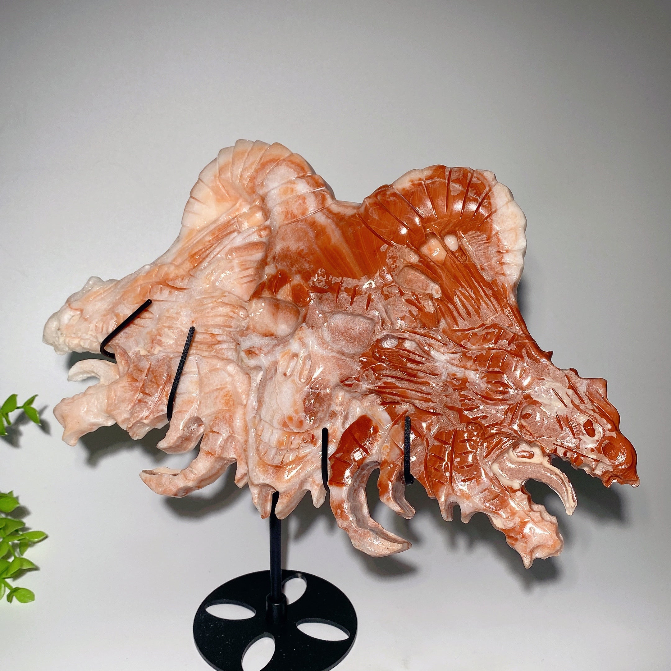 27 cm große Jade-Drache-Schädel-Kristallskulptur