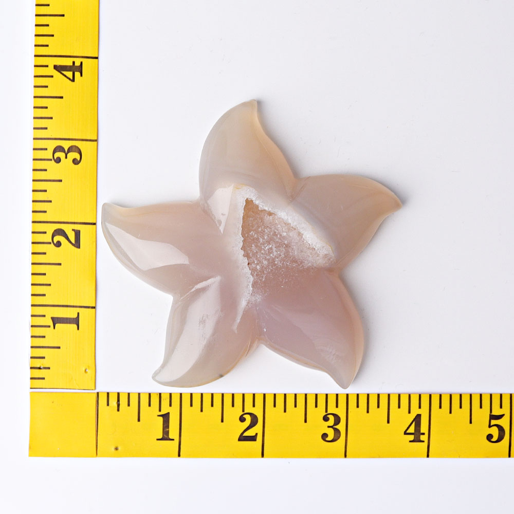 3.0-3.5 Inch Druzy Agate Starfish Crystal Carving