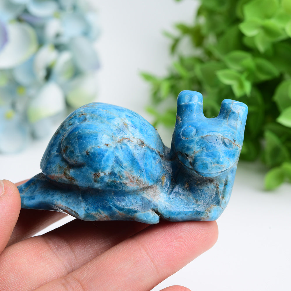 3,0 Zoll blaue Apatit-Schneckenkristallfigur zur Heilung