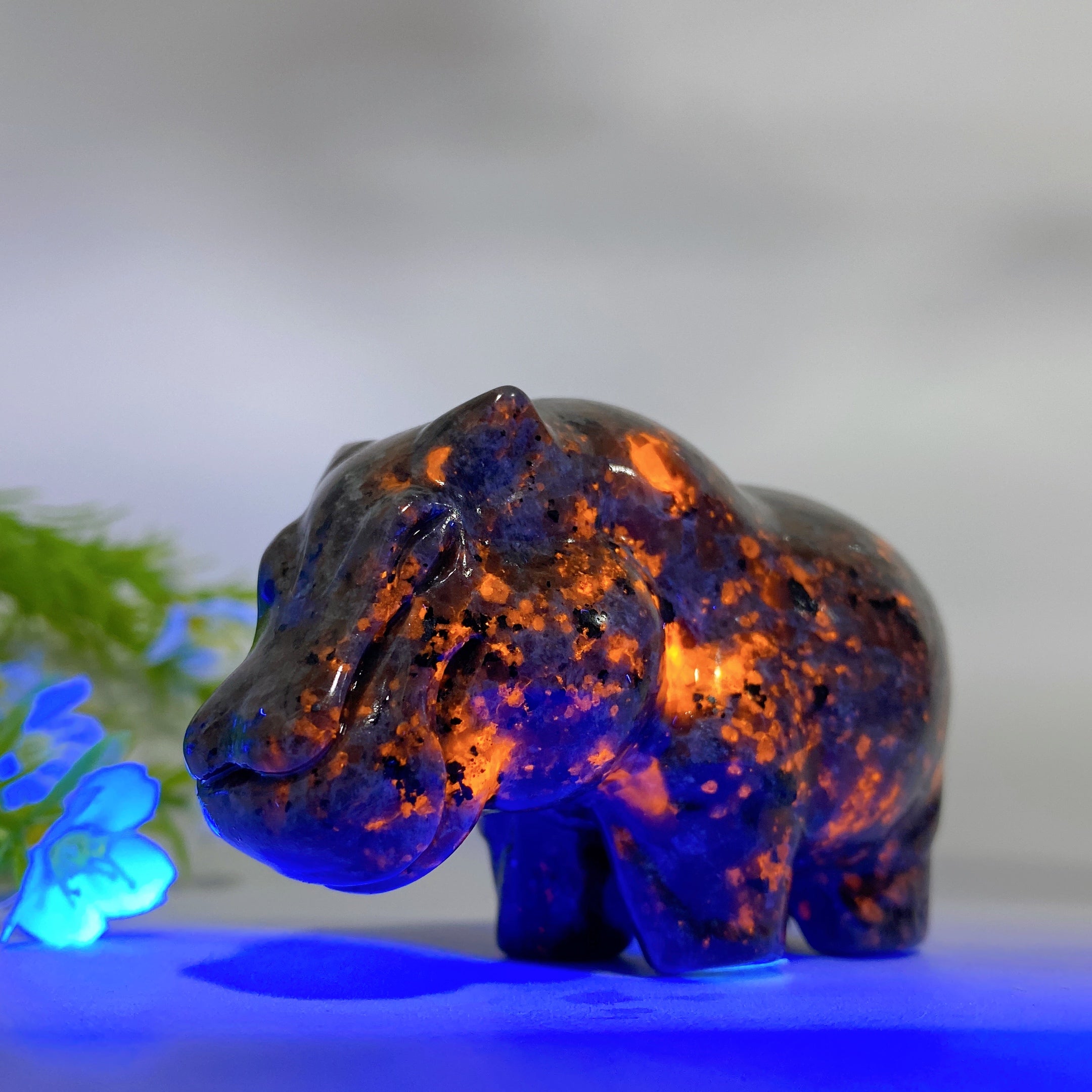 3.0 Inch UV Reactive Yooperlite Hippo Crystal Carving