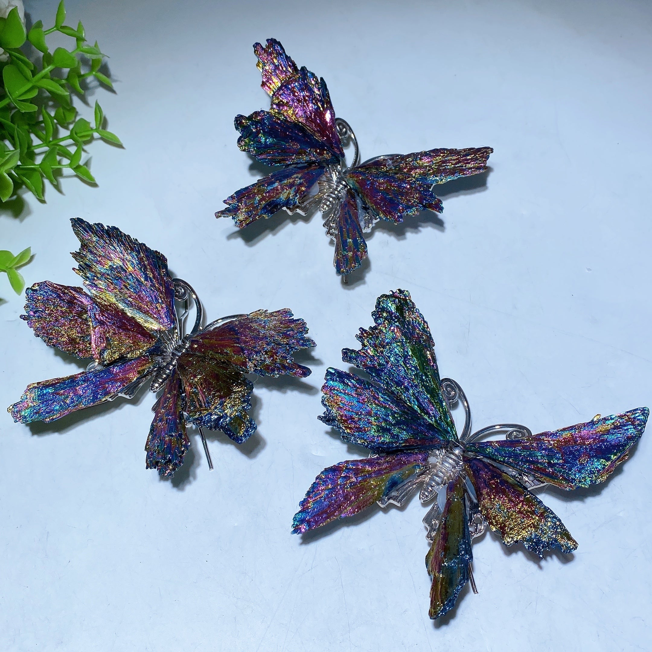 3.5-4 inch Aura Black Tourmaline Butterfly Crystal