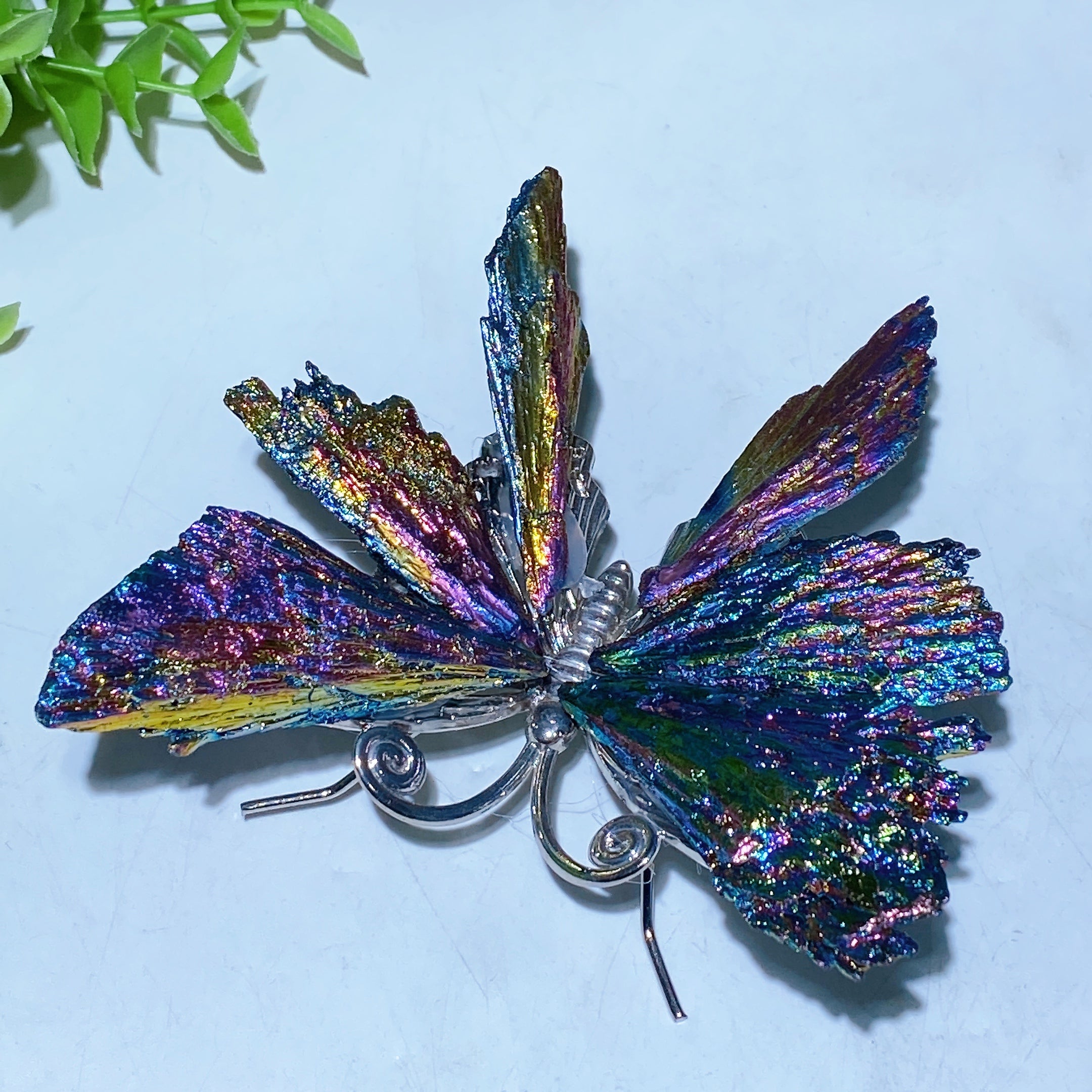 3.5-4 inch Aura Black Tourmaline Butterfly Crystal
