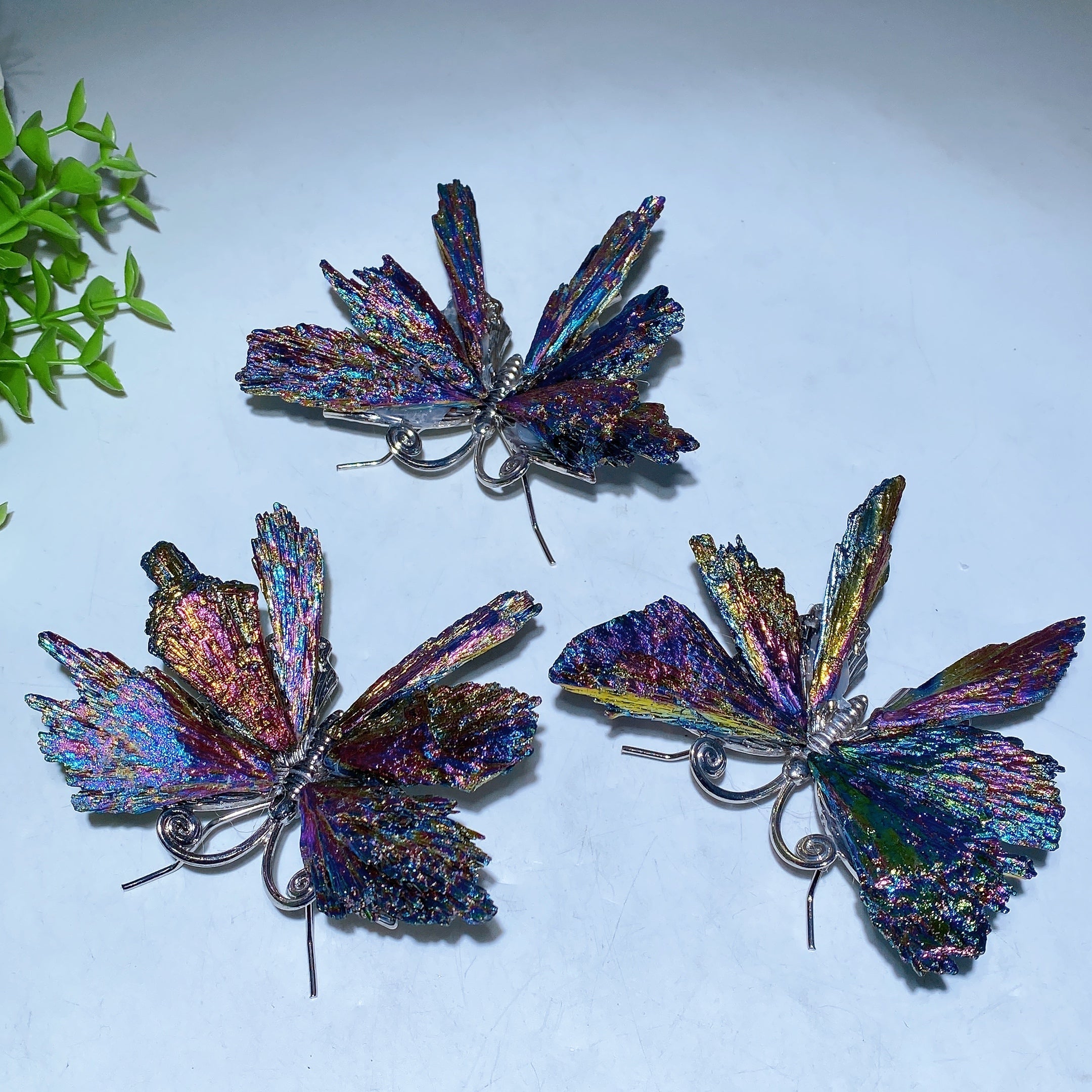 3.5-4 inch Aura Black Tourmaline Butterfly Crystal