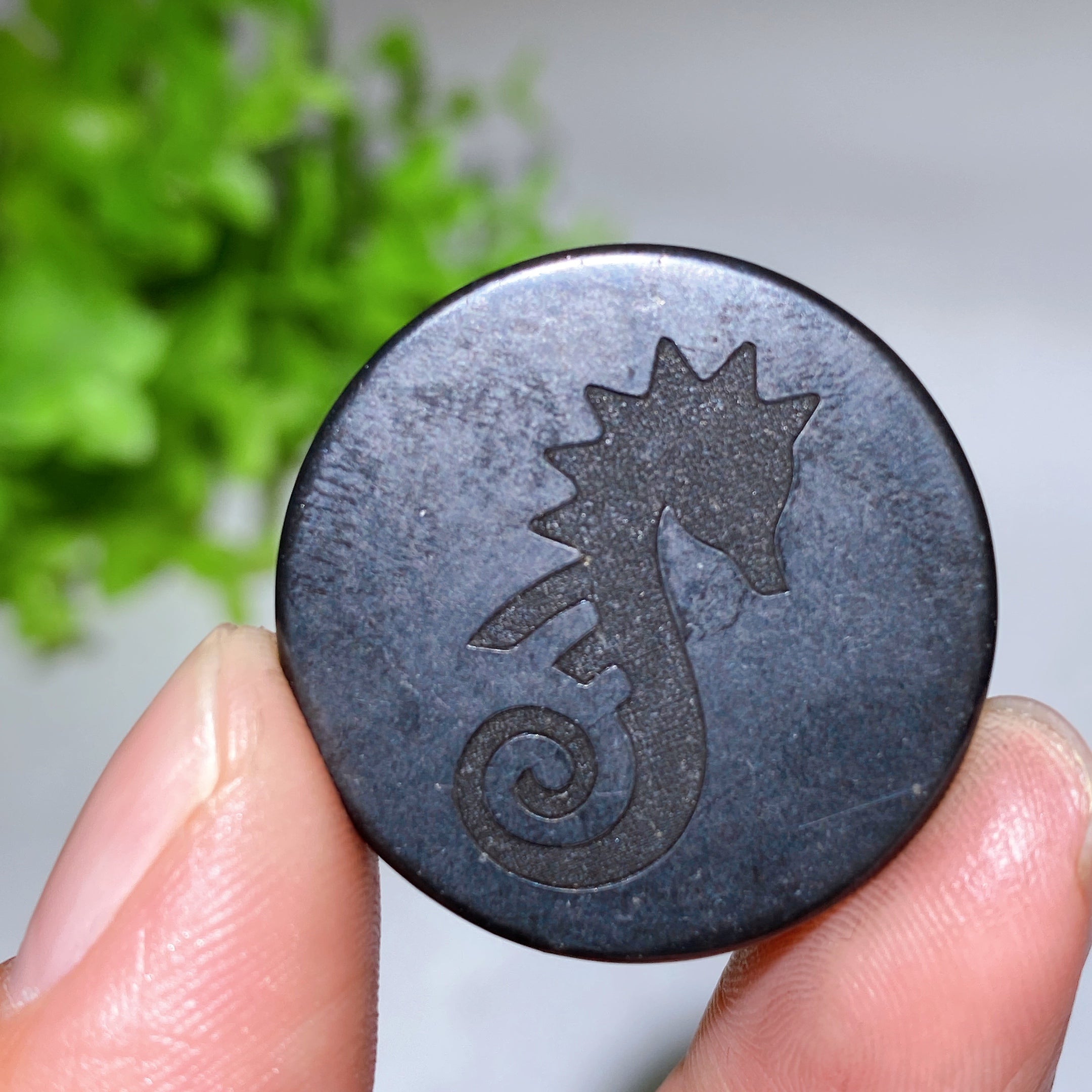 30 mm Schungit-Heilkristall, runde Platte