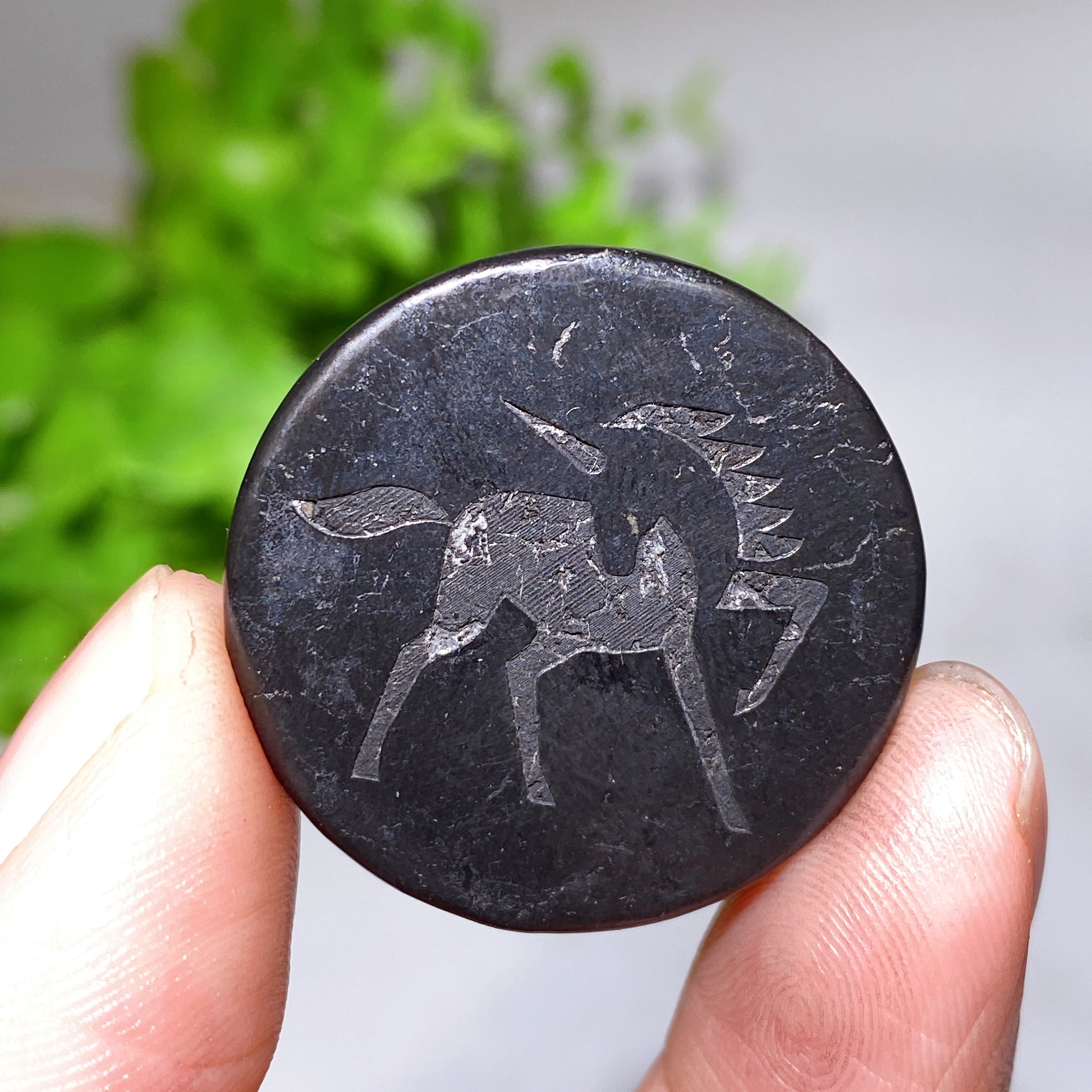 30 mm Schungit-Heilkristall, runde Platte