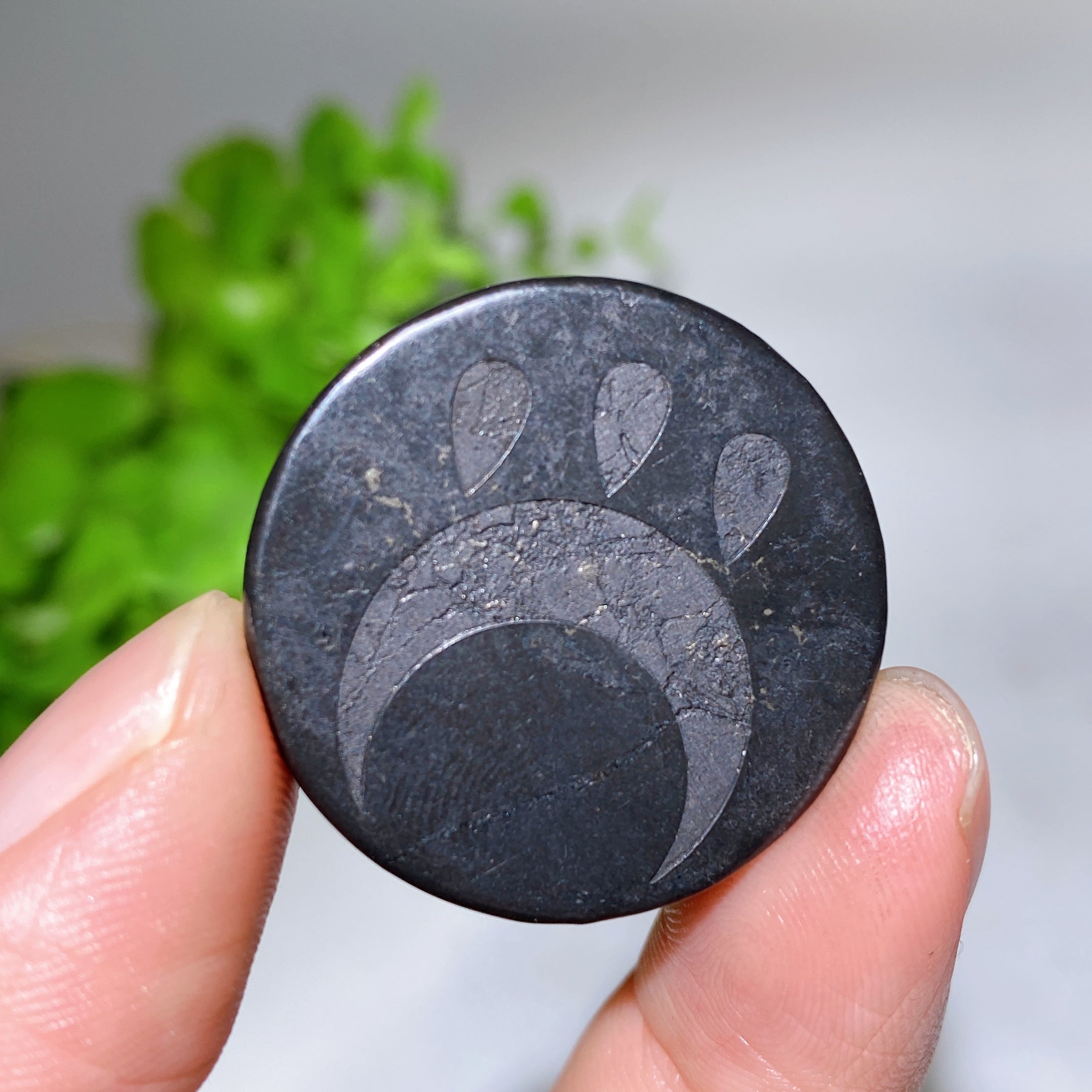 30 mm Schungit-Heilkristall, runde Platte