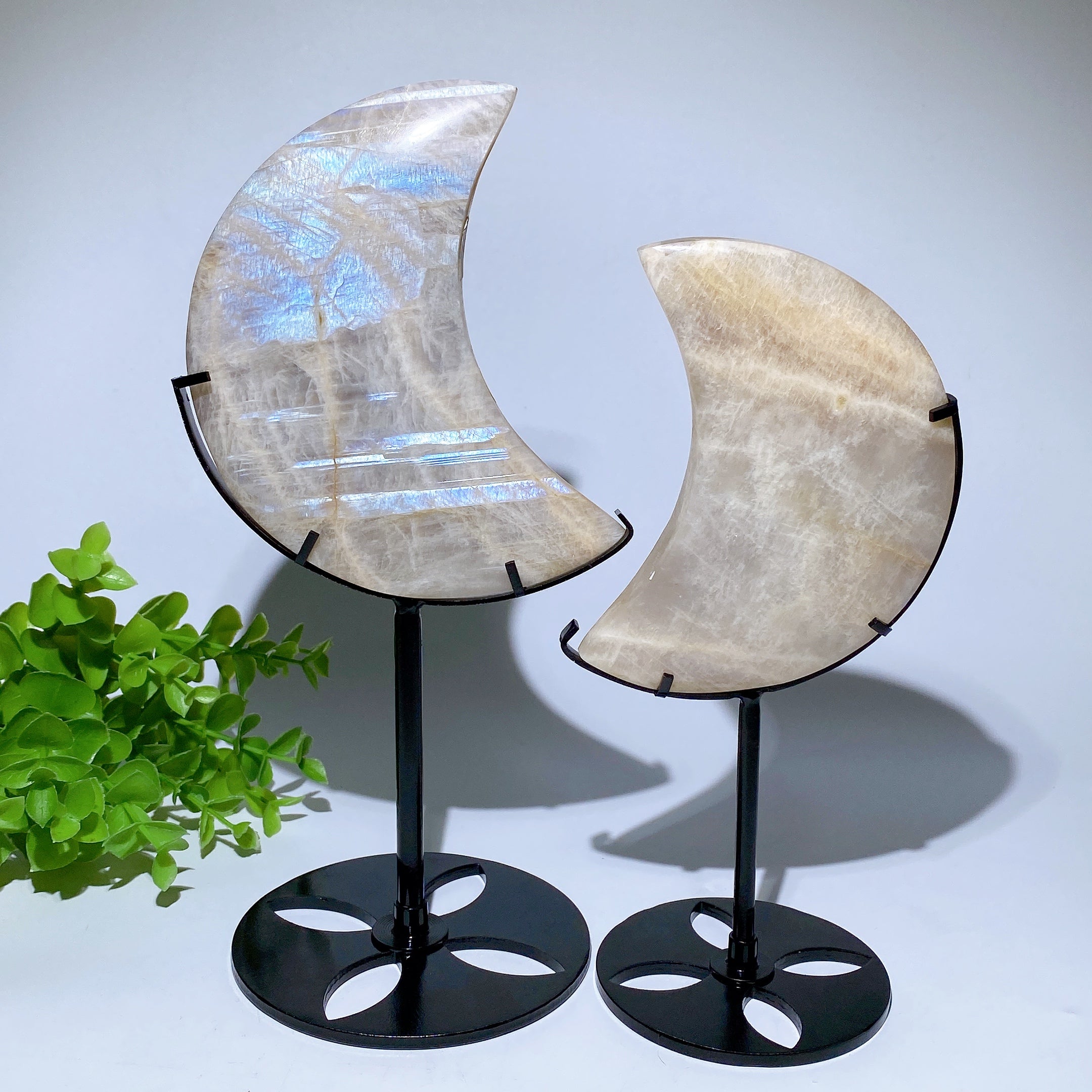 4–5 Zoll blauer Blitzmond-Kristall, Schnitzerei zur Heilung