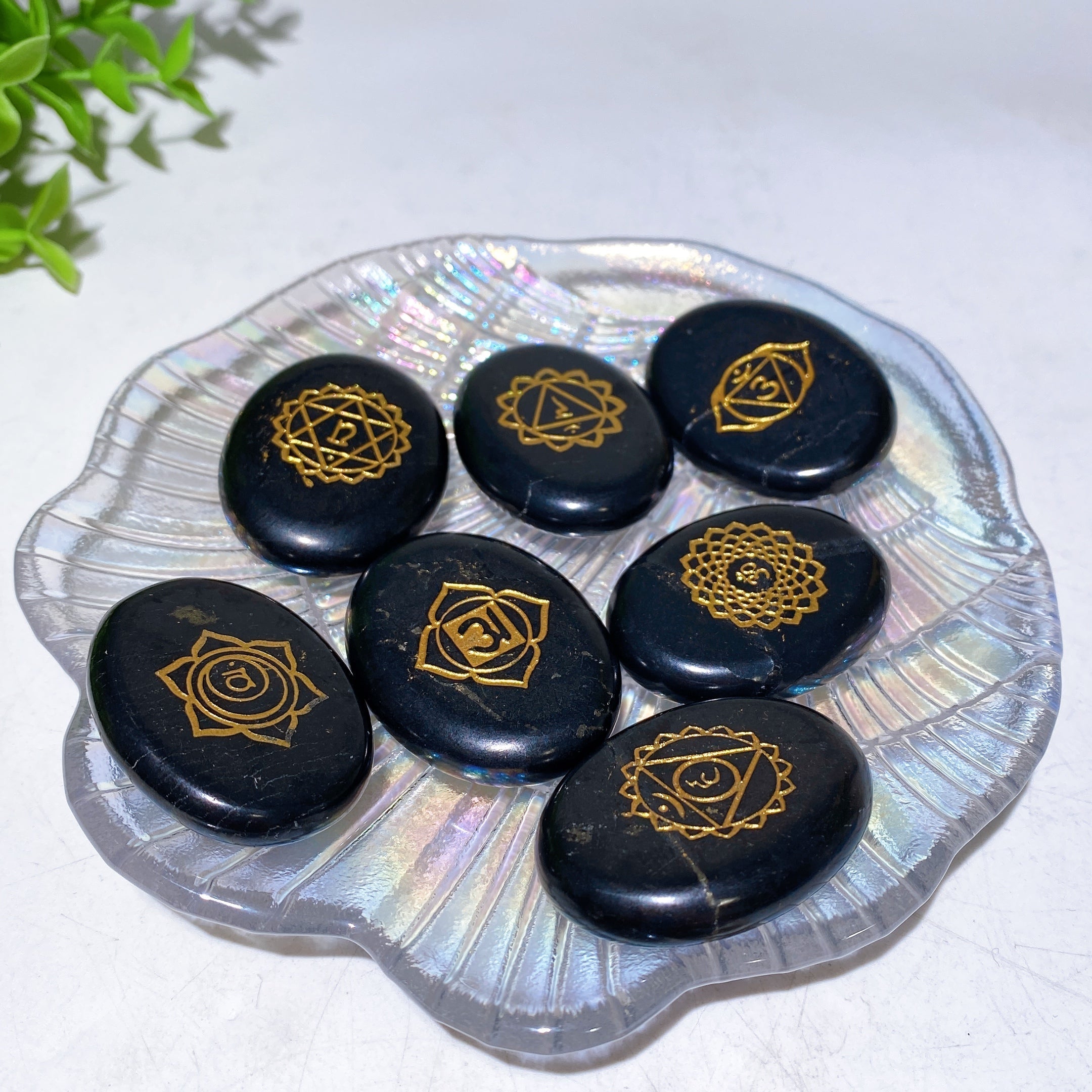 40mm Schungite Chakra Rune Crystal Specimens Set