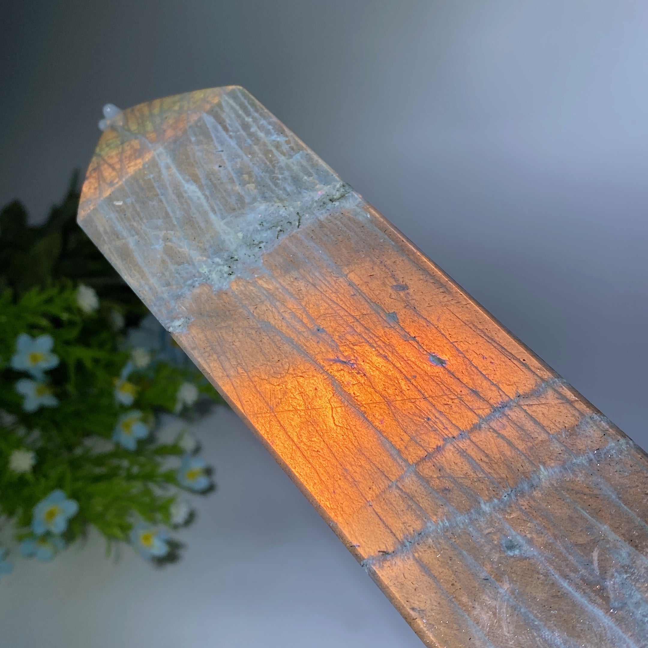 42 cm großer Sunset Flash Labradorit-Kristallturm zur Heilung