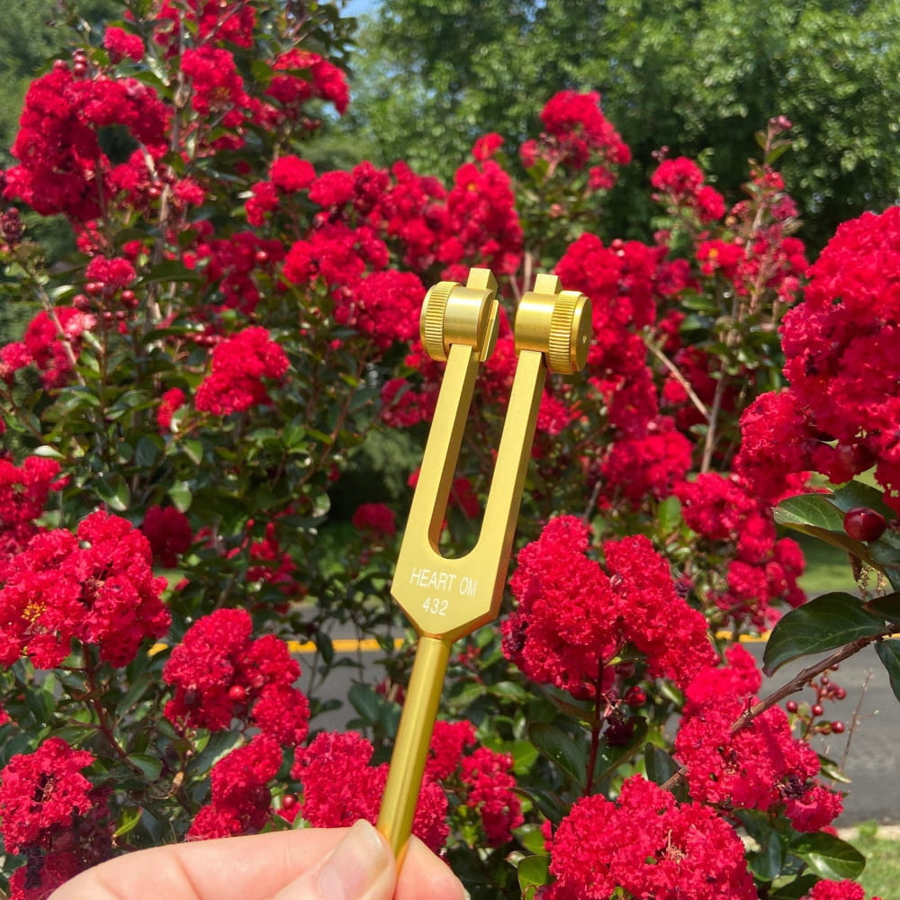 Golden tuning fork against vibrant red flowering bushes for healing therapy