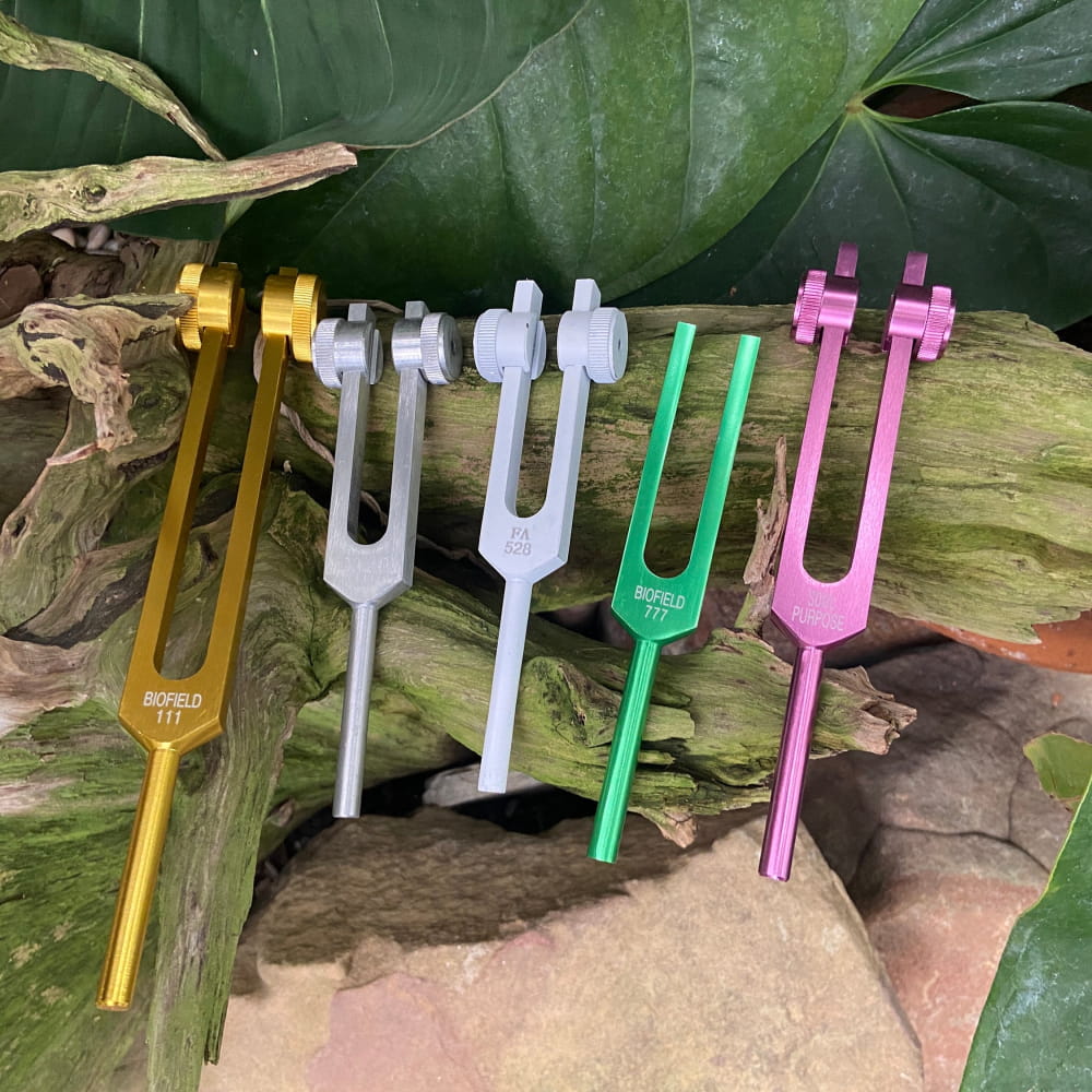Colorful tuning forks in a row from 5pc Tuning Fork Set for Healing & Manifestation