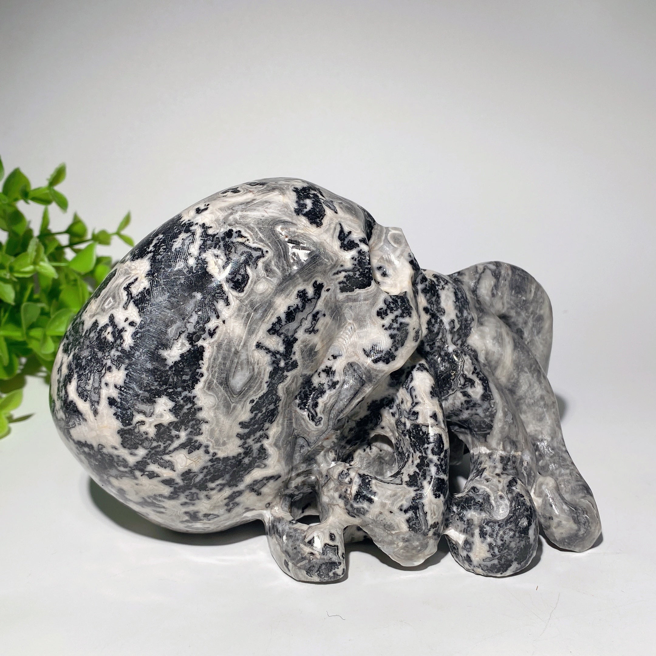 6.2-inch Picasso Stone Octopus Skull Figurine
