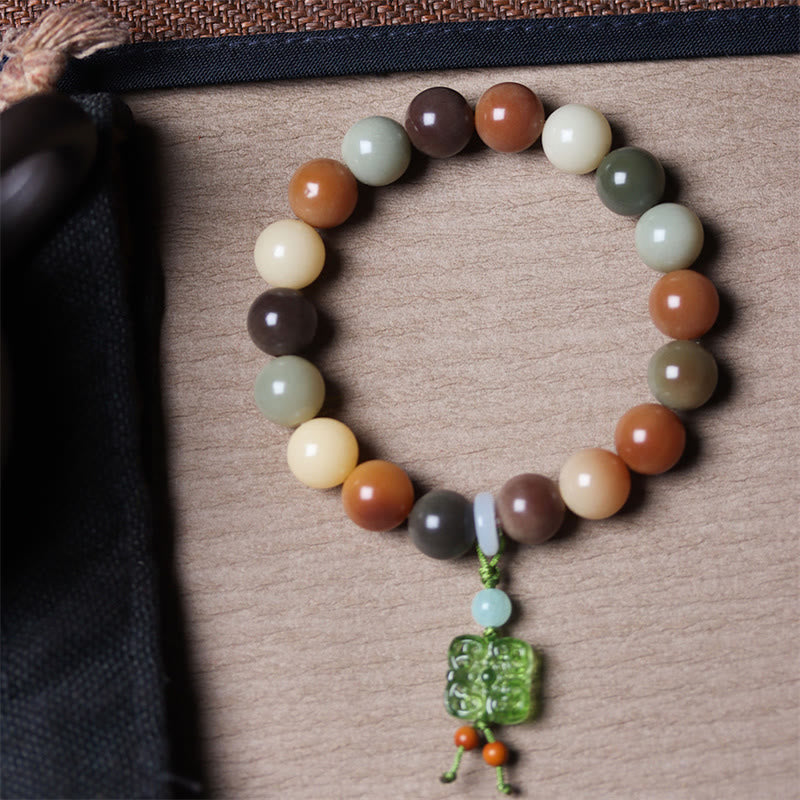 Natural Multicolored Bodhi Seed Spiritual Bracelet for Peace