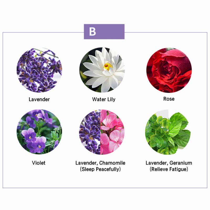6-teiliges Aromatherapie-Set mit ätherischen Ölen zur Heilung | Heilende Klänge