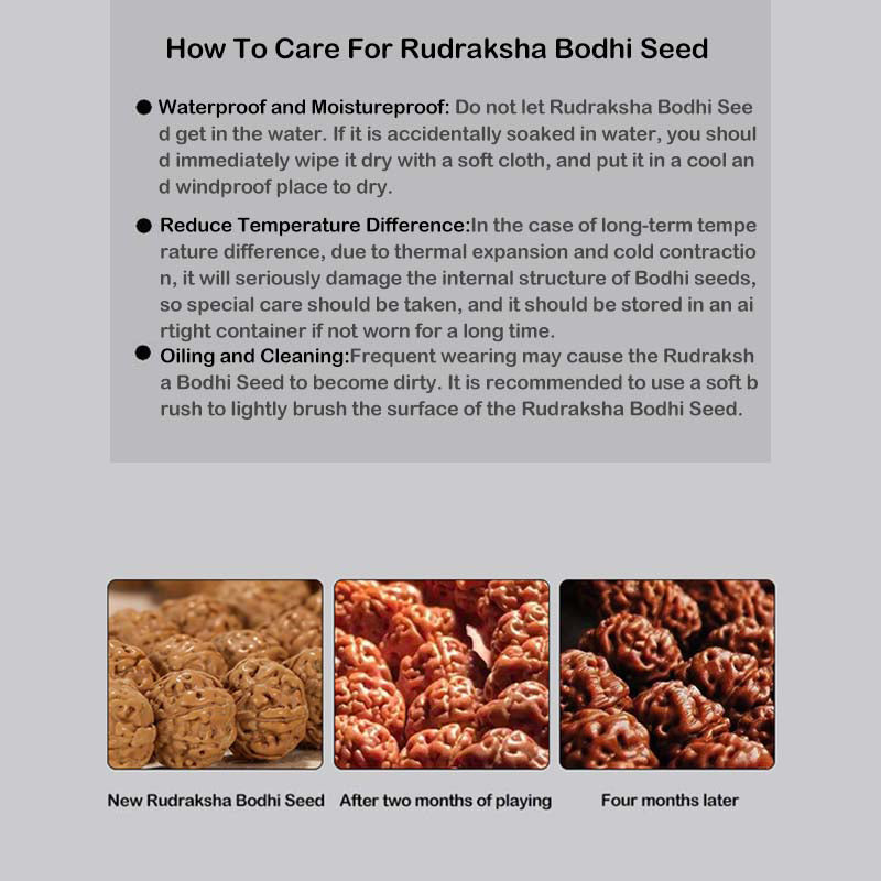 Rudraksha Bodhi Seed Spiritual Bracelet 9mm | Wealth Energy