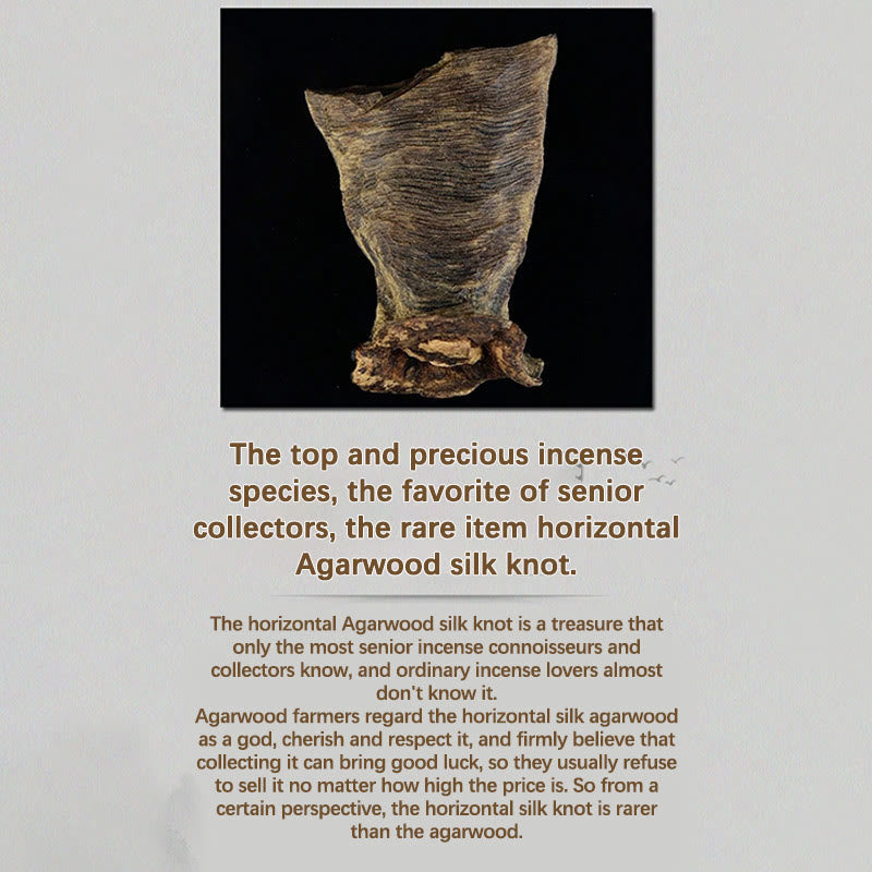 8 mm Brunei Agarwood 108 Perlen Mala Stärke Armband