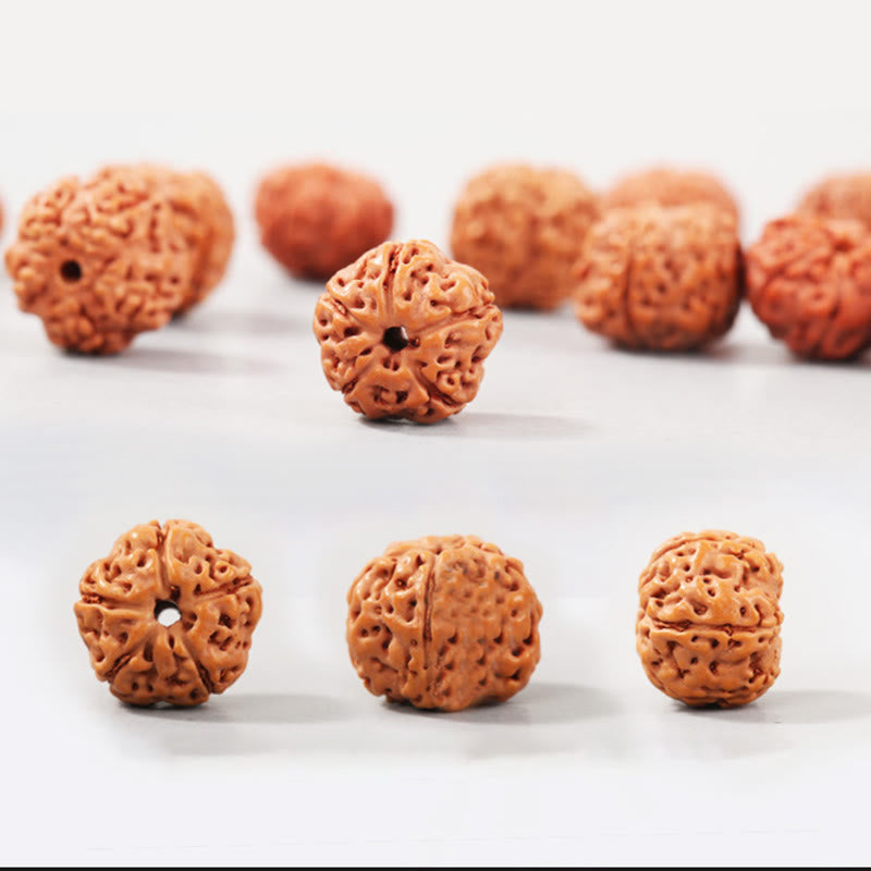 Bodhi Seed Spiritual Bracelet | Enlightenment & Wealth