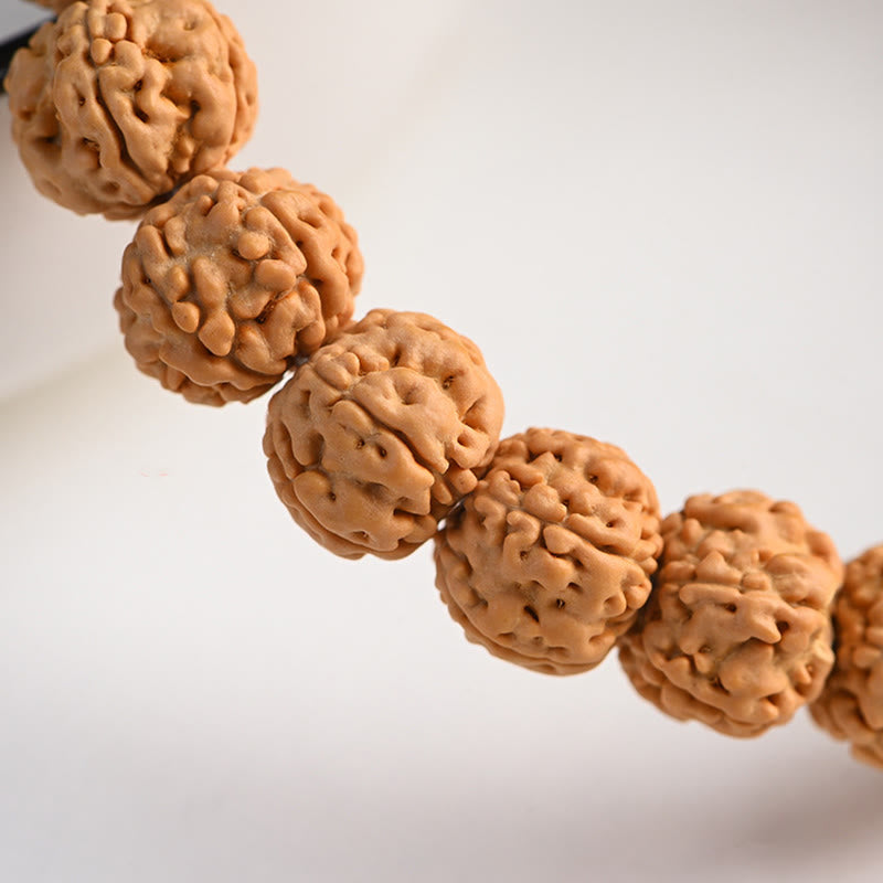 Bodhi Seed Spiritual Bracelet | Enlightenment & Wealth