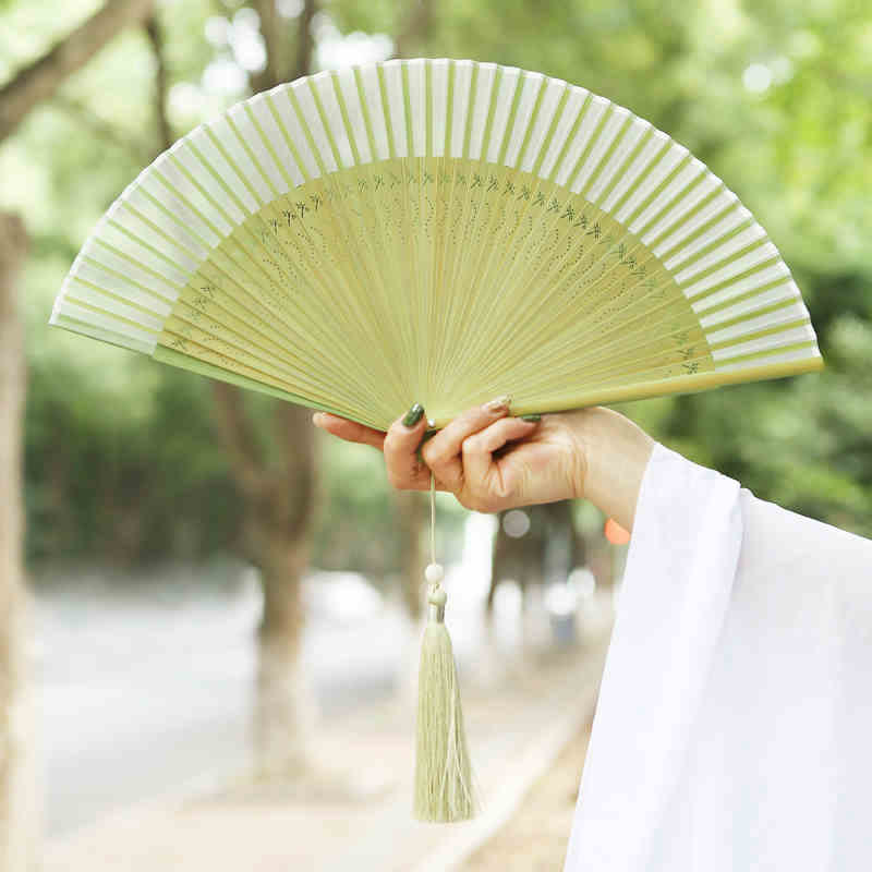 Chinesischer Faltfächer Libelle Maulbeerseide 23cm