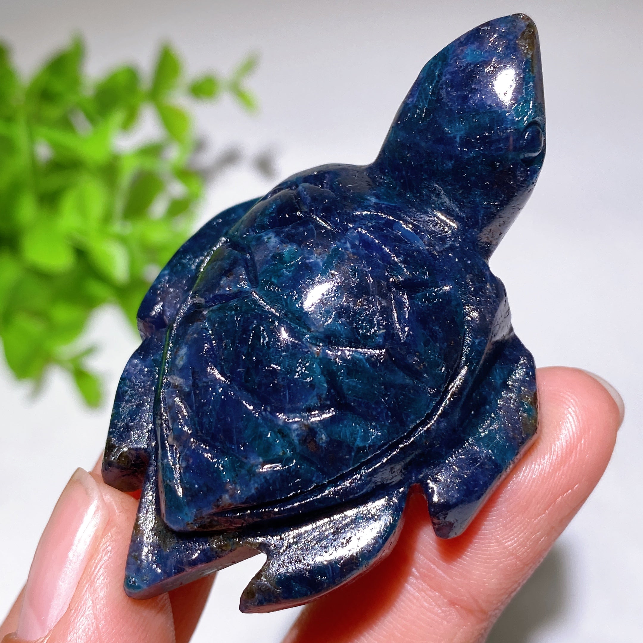 Cordierite Crystal Turtle Carving 2.2-3.2 Inches Healing Figurine