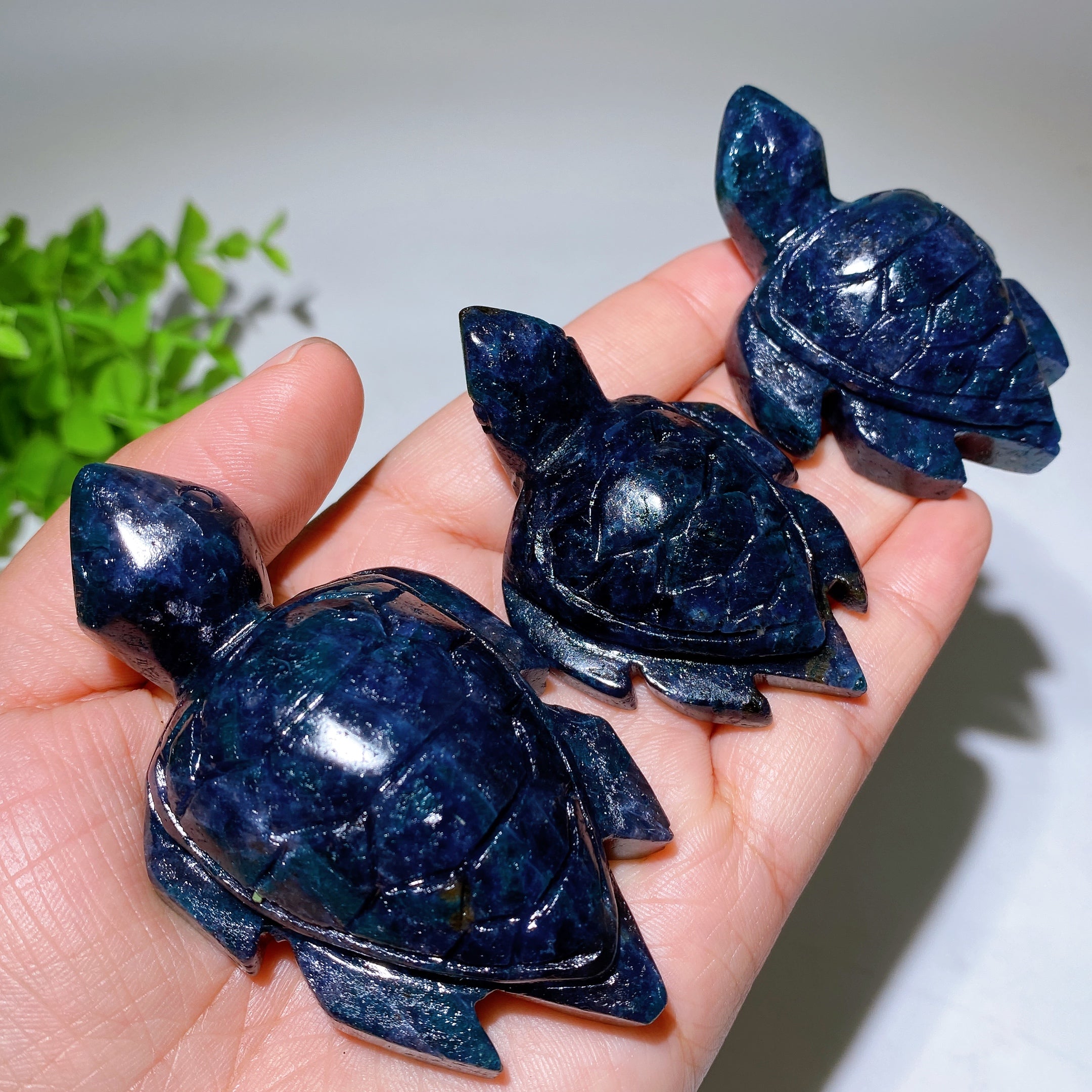 Cordierite Crystal Turtle Carving 2.2-3.2 Inches Healing Figurine