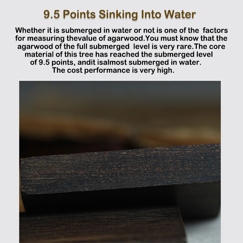 9,5 Punkte Kalimantan Agarwood Balance Halskette Amulett