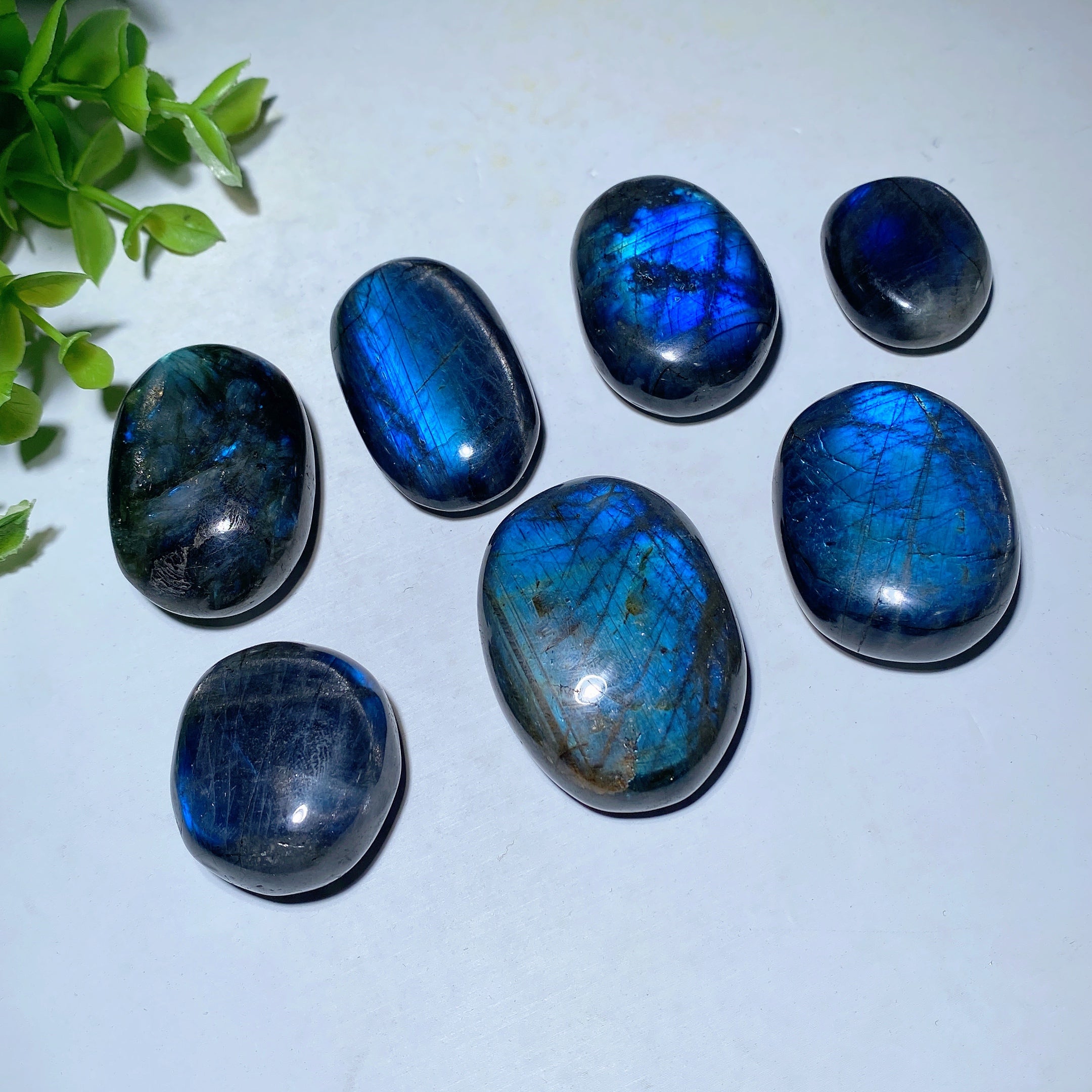 Labradorite Palm Stone 1.0-1.5 Inch for Healing