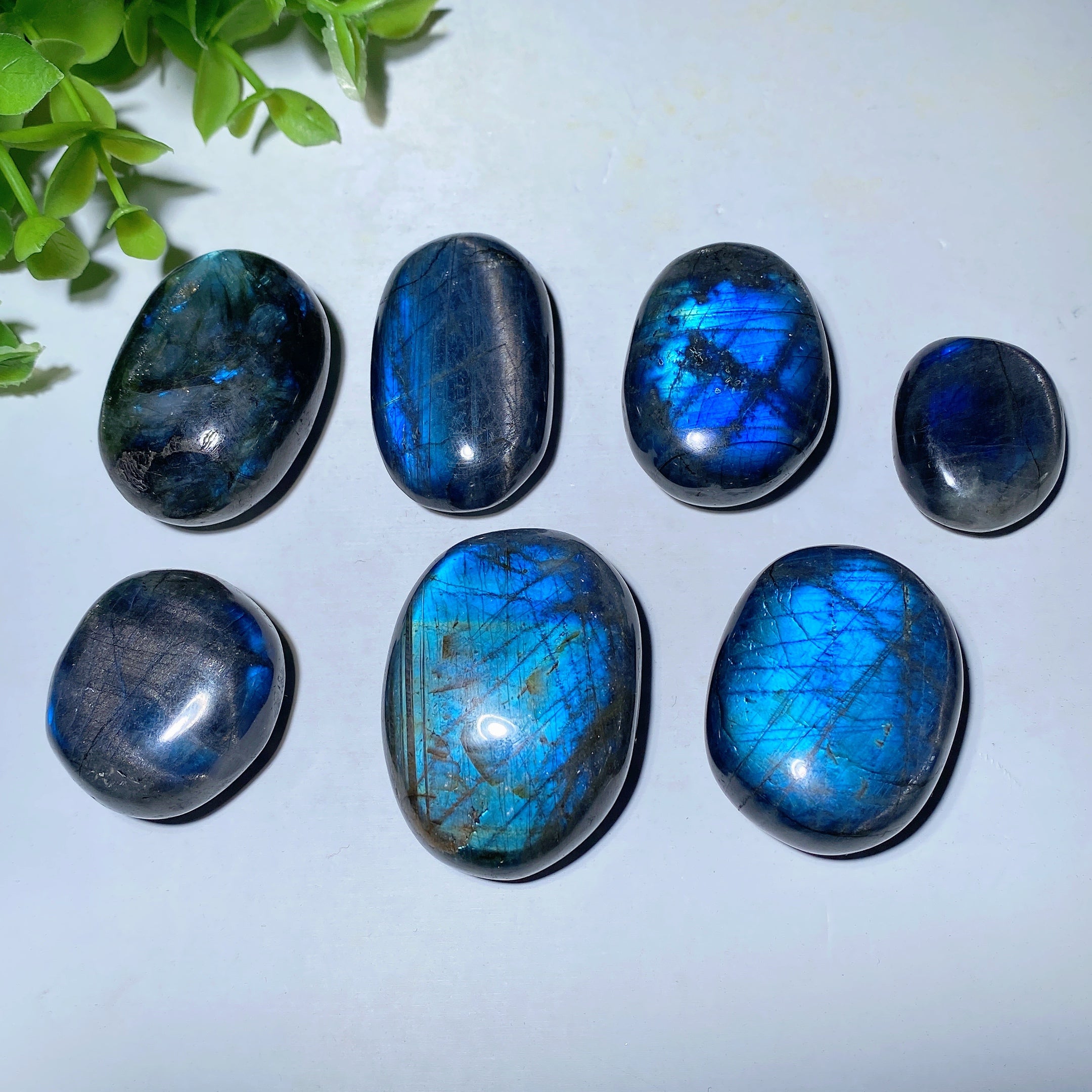 Labradorite Palm Stone 1.0-1.5 Inch for Healing