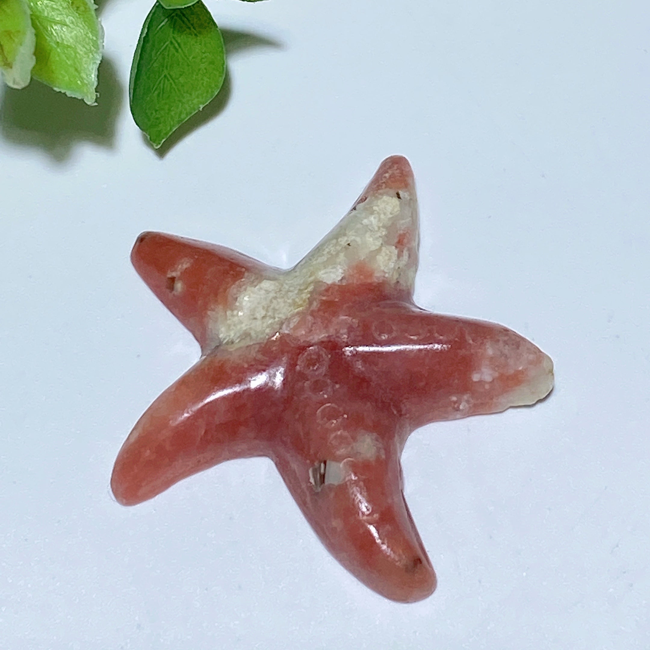 Seestern-Schnitzereien aus gemischten Kristallen, 3,6–4,3 cm, Heilkristalltiere