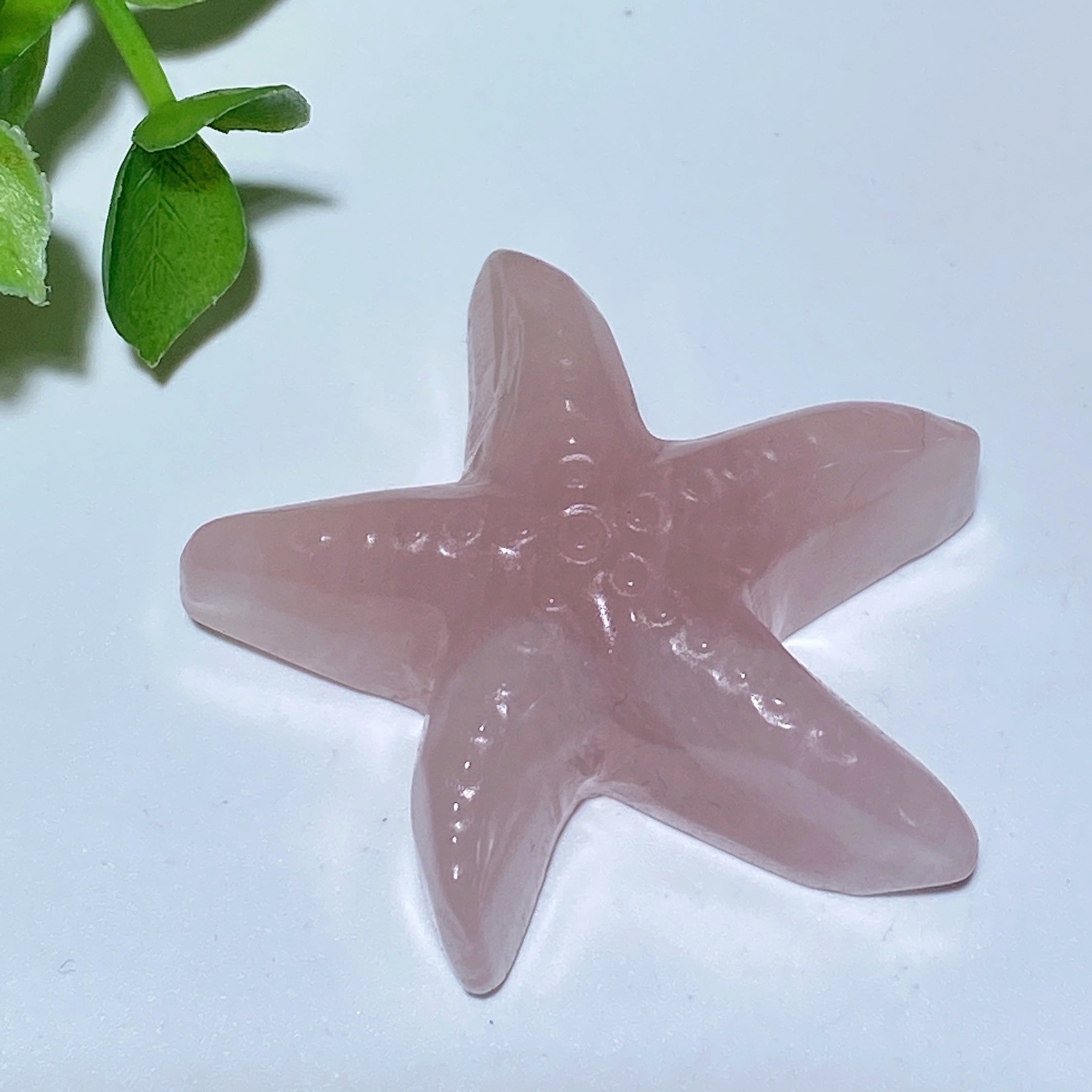 Seestern-Schnitzereien aus gemischten Kristallen, 3,6–4,3 cm, Heilkristalltiere