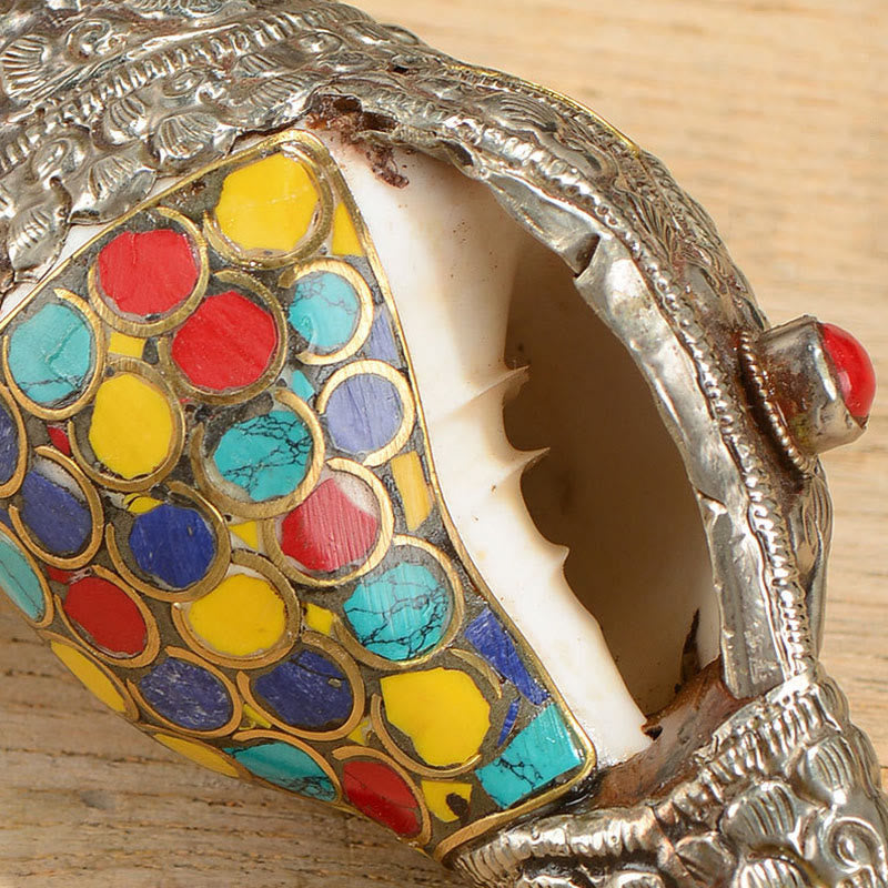 Natürliche bunte Shankha-Muschelmuschel-Dekoration für Zen-Dekor