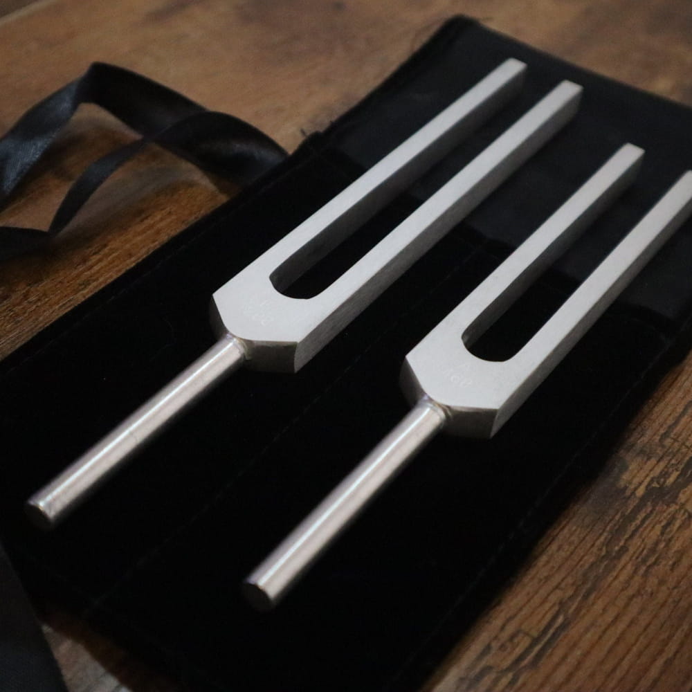 Phi Tuning Fork Set - Unweighted 288 Hz & 468 Hz with Bag - On sale