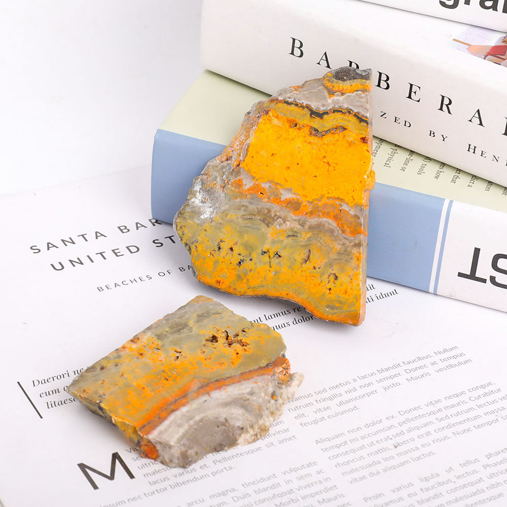Polished Bumble Bee 290g Crystal Specimens Set of 2