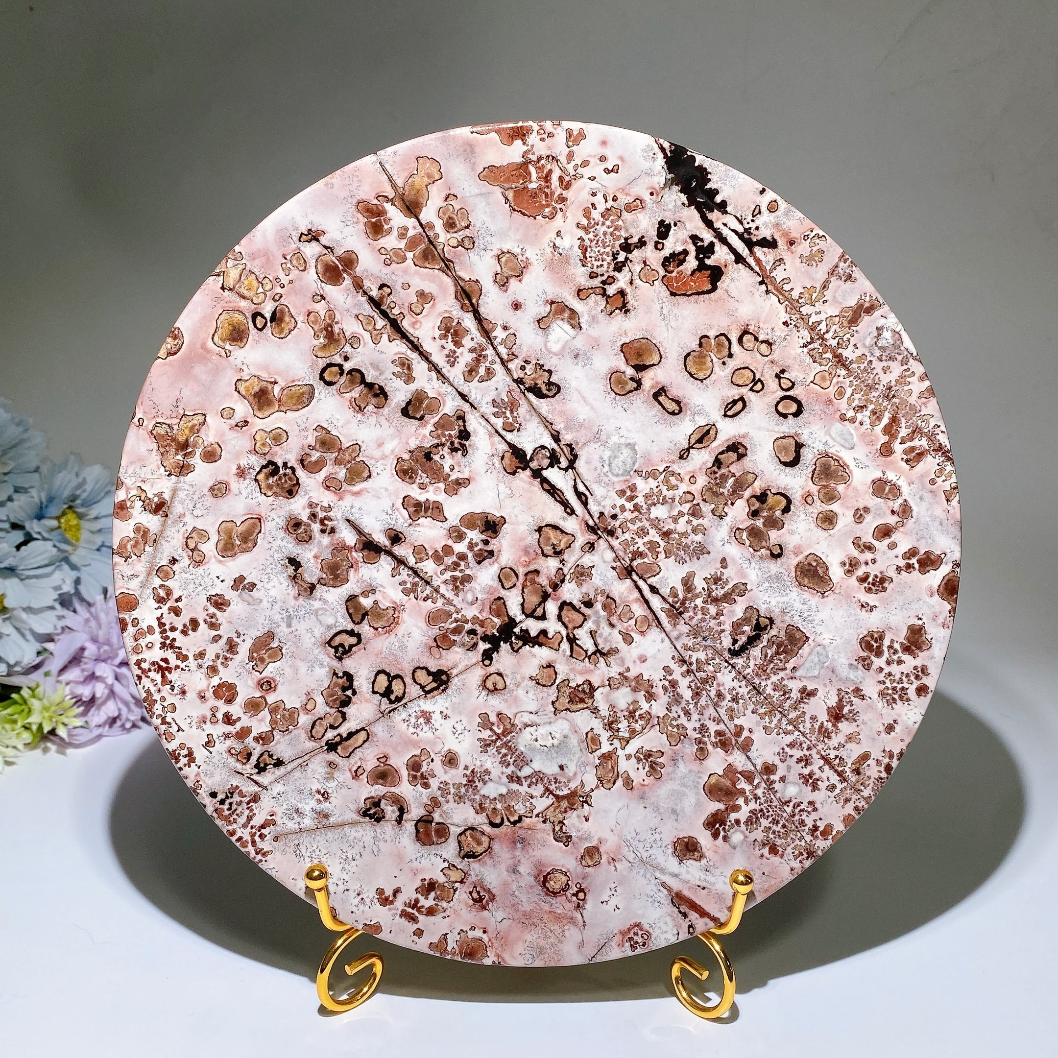 Polished Picture Jasper Plate Crystal 20.5-24cm Healing Display