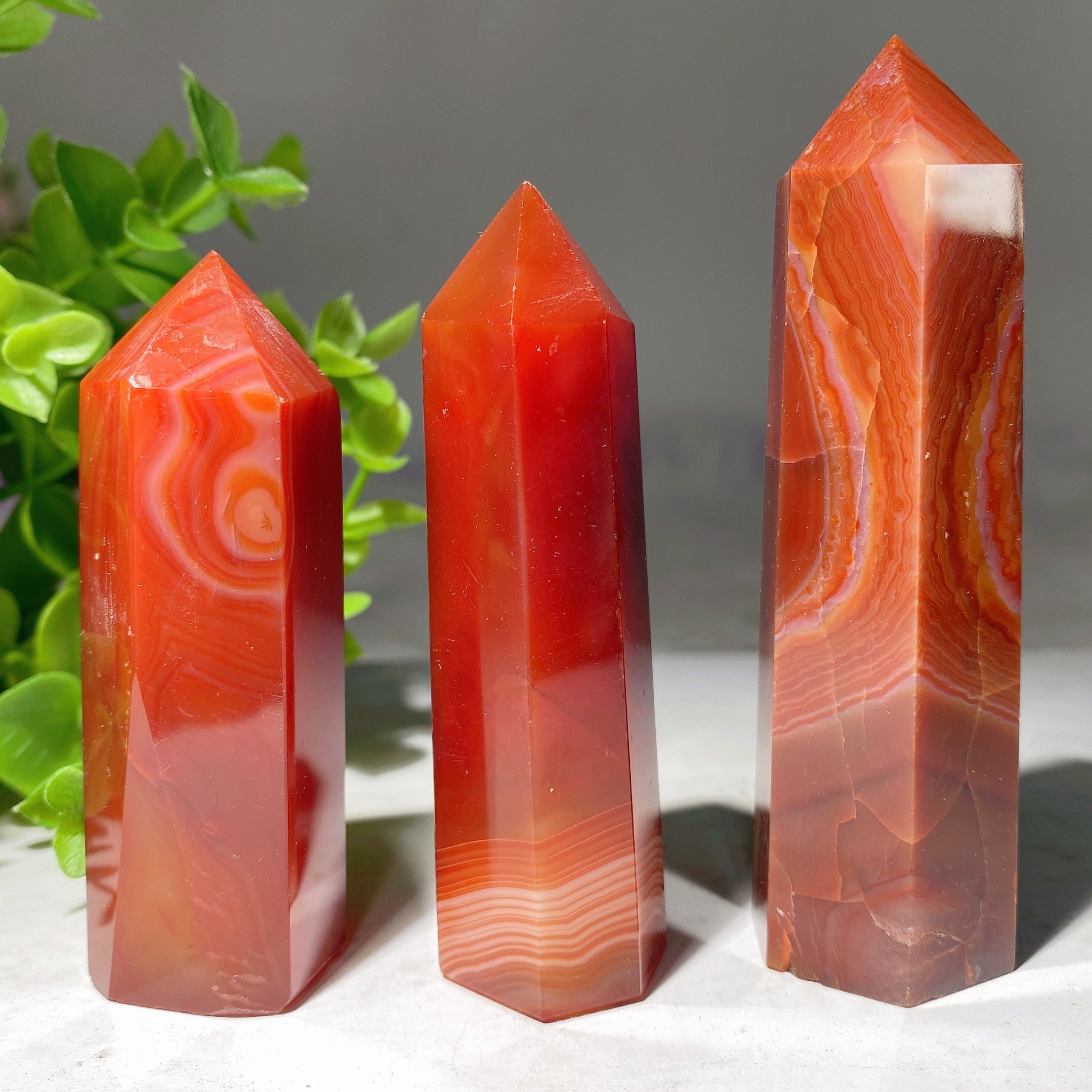 Sardonyx Crystal Points 2.5-4.0 Inch Healing Energy