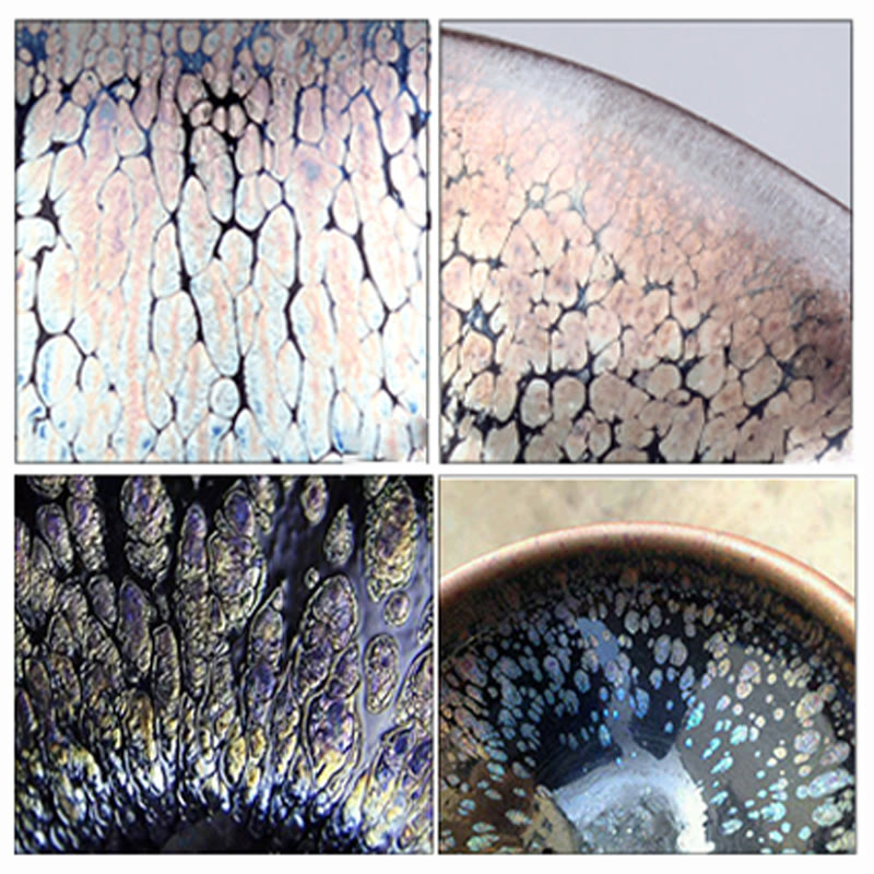 Tenmoku Jian Zhan Keramik-Teetasse mit Sukkulentenmuster, 9 cm x 5 cm