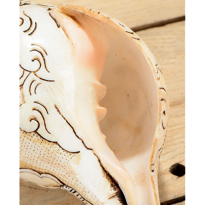 Tibetische handgefertigte gravierte Shankha-Muschel-Dekoration
