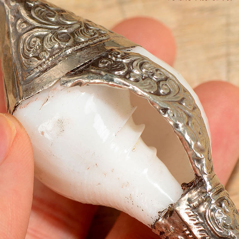 Tibetische natürliche Shankha-Muschelmuschel-Drachendekoration