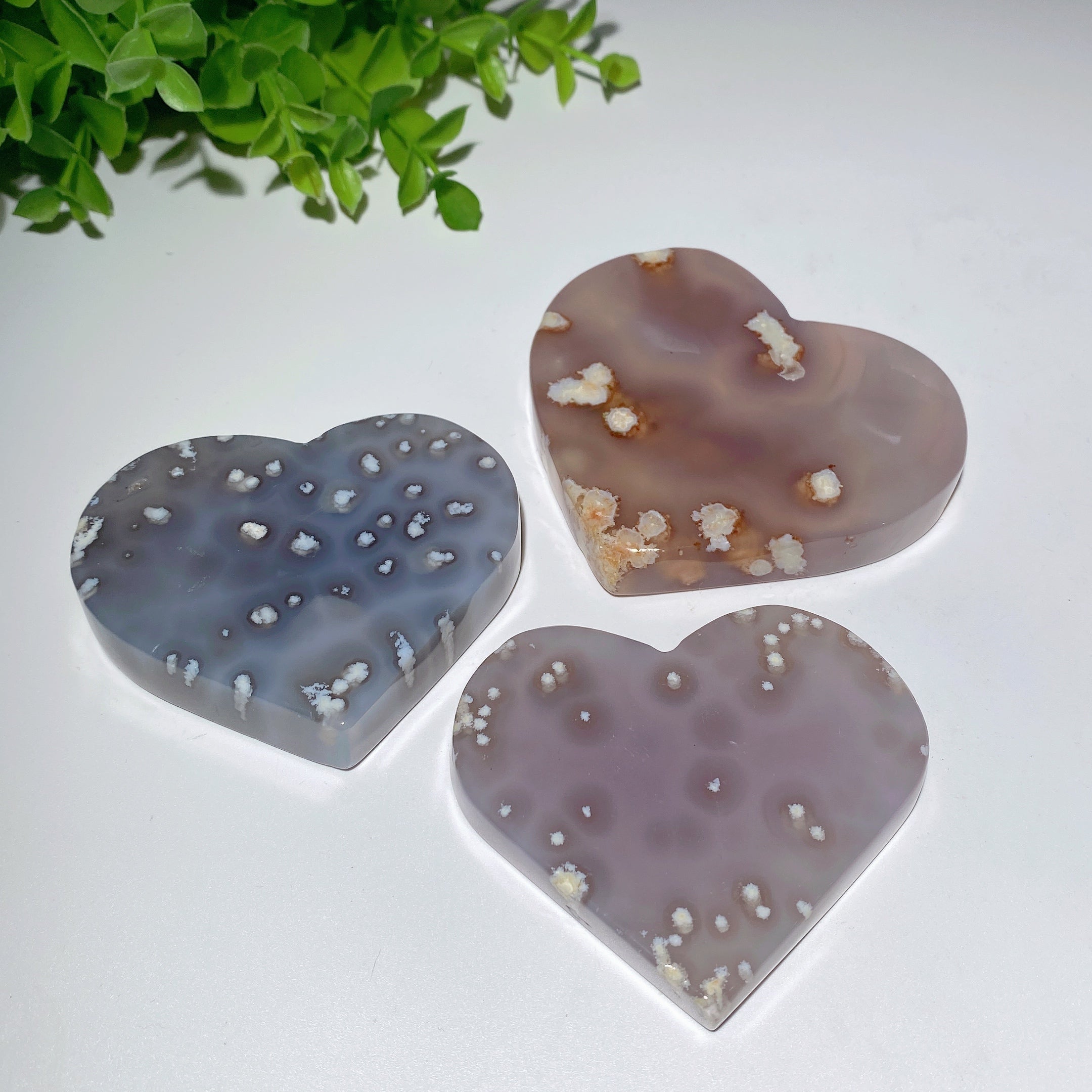 Tree Agate Crystal Heart Carvings 2.8-4.2 Inches Healing