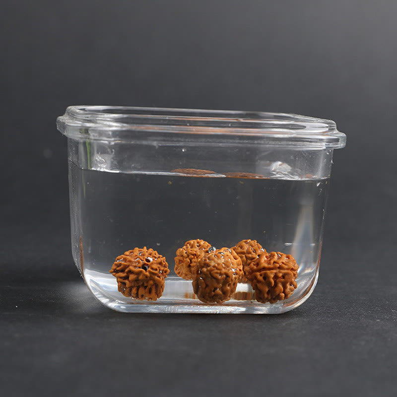 Unisex-Pixiu-Armband mit Reichtum und Glück, mit Rudraksha-Bodhi-Samen