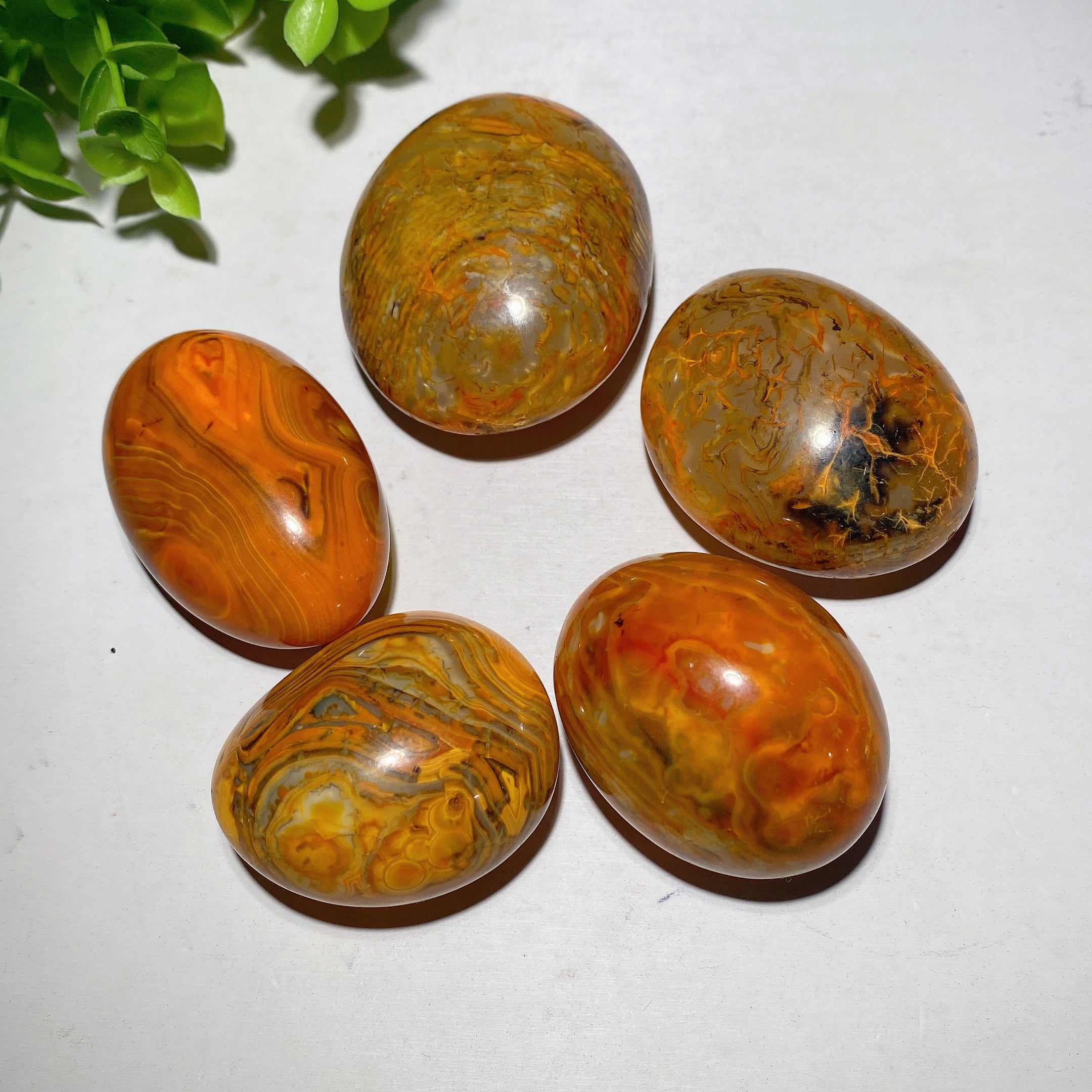 Yellow Bandage Agate Palm Stone 1.5-2 inch Healing Crystal